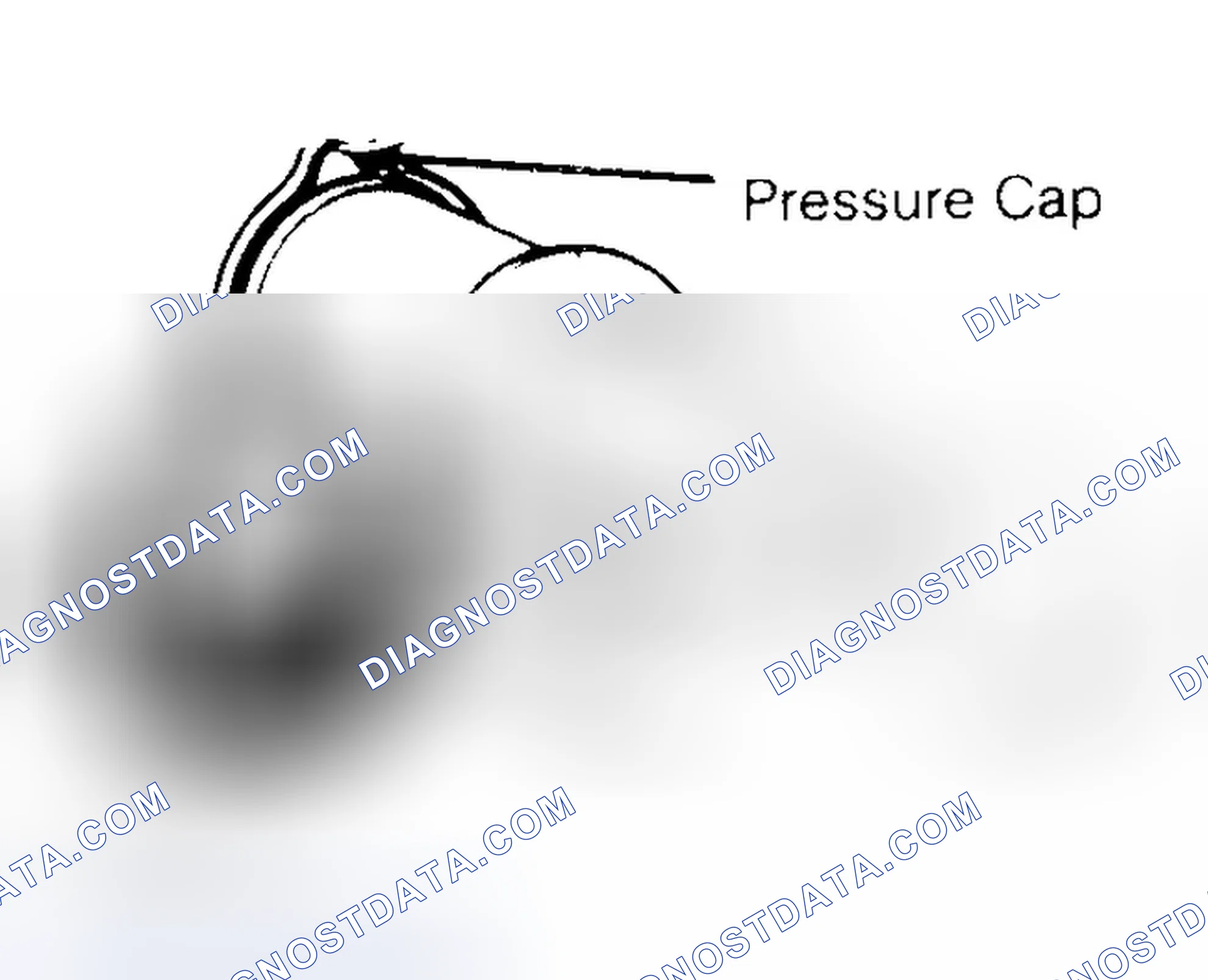 Scheme 2: Pressure Testing Radiator Cap