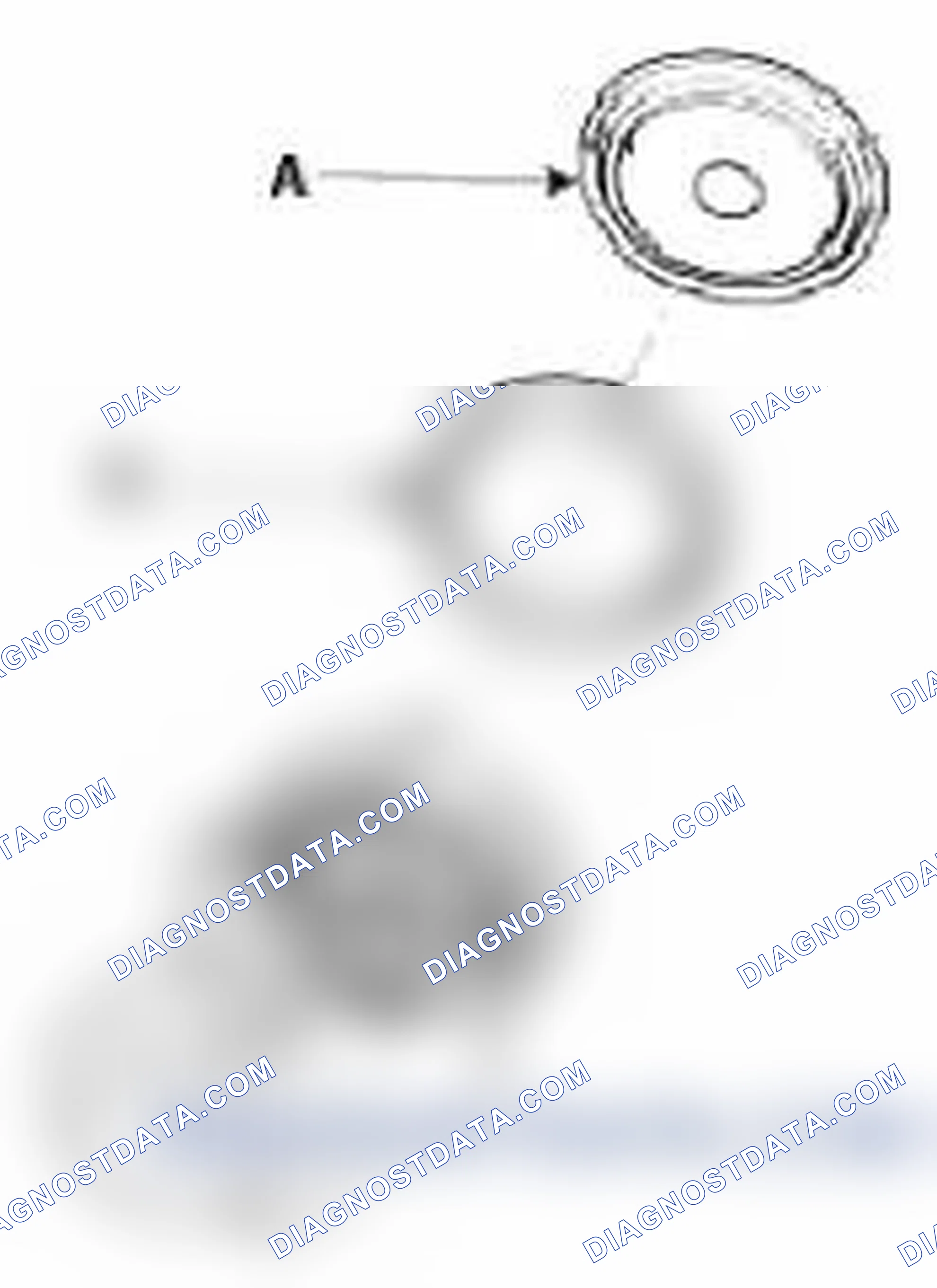 Scheme 11