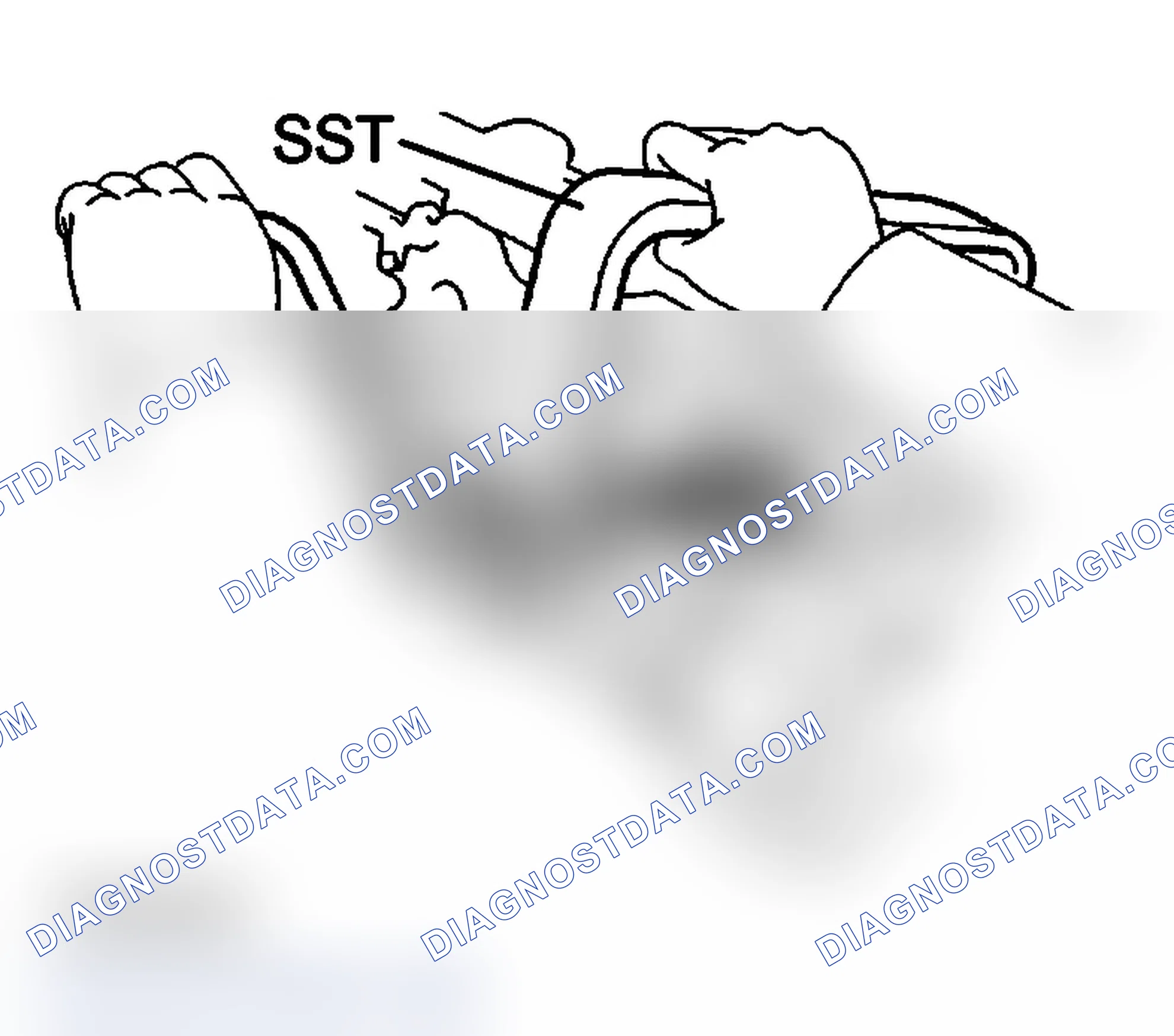 Scheme 165
