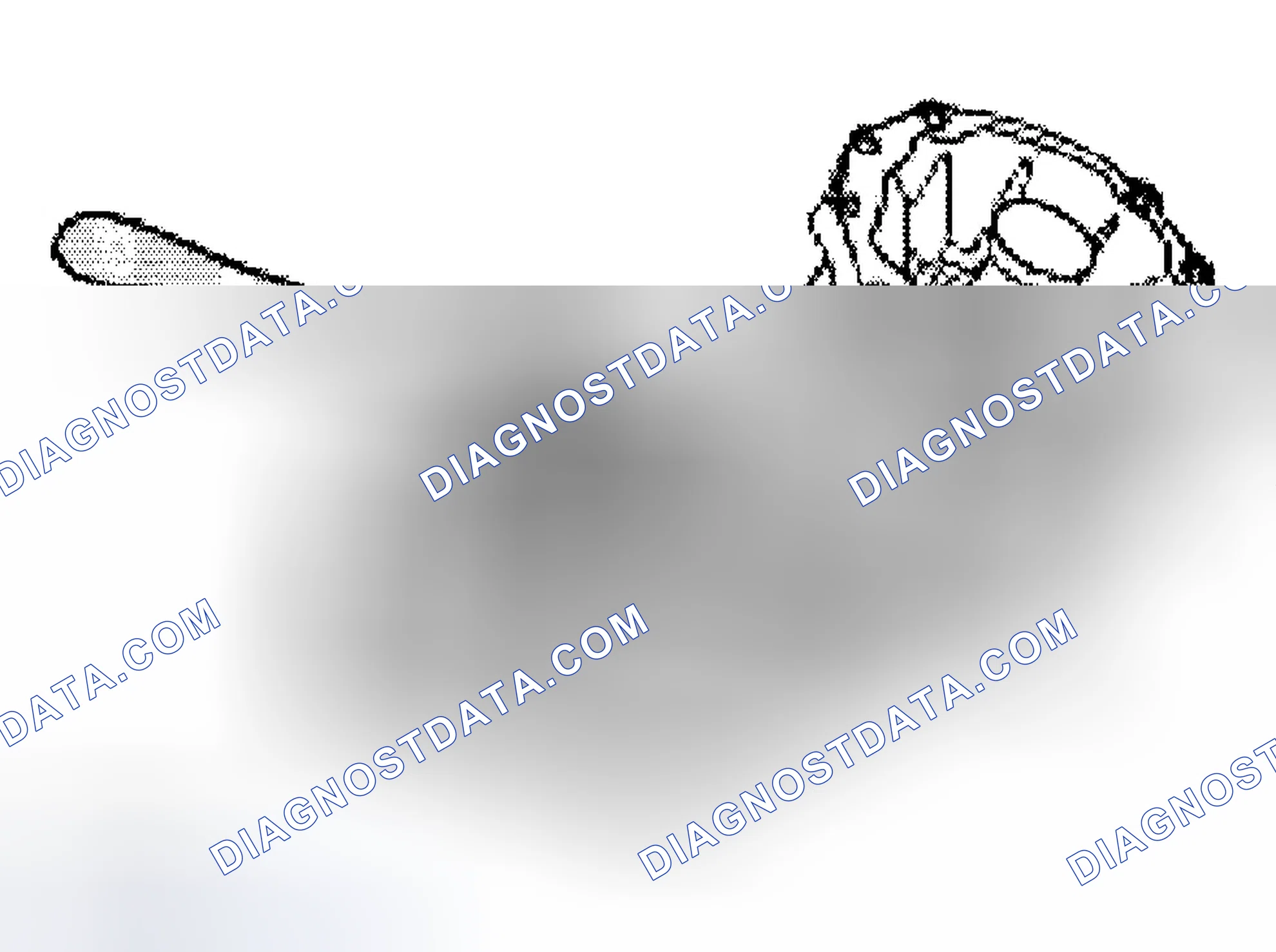 Scheme 10: Removal & Installation (Front Transfer Box - Output Flange)
