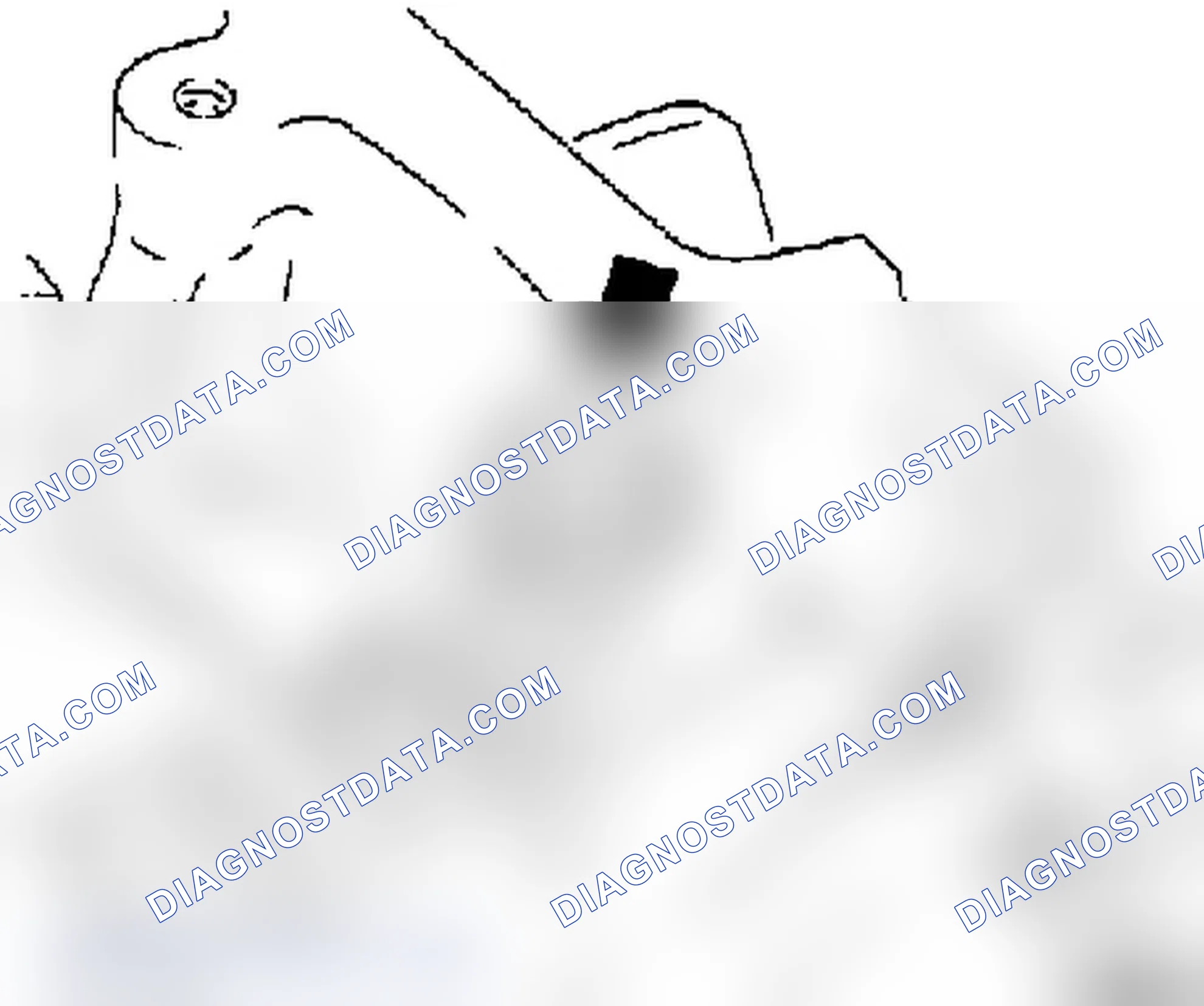 How to Repair Using Short-Block the Engine