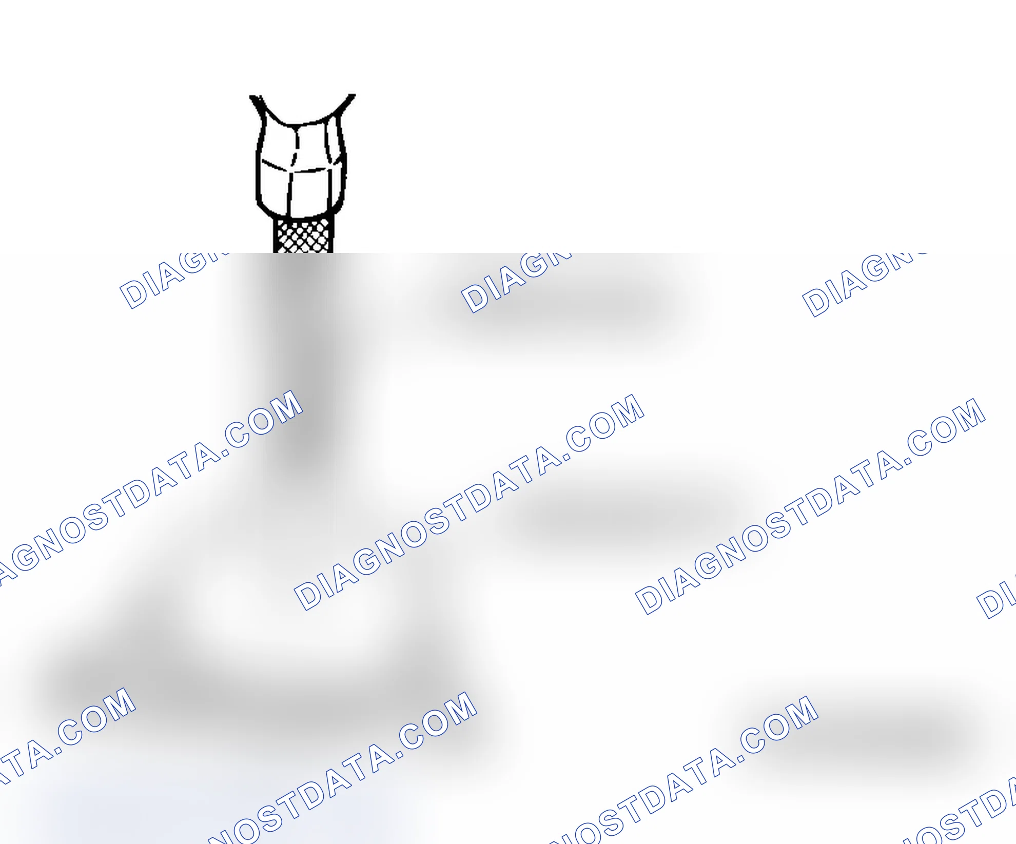 Scheme 345: >>C<< REAR OIL SEAL INSTALLATION
