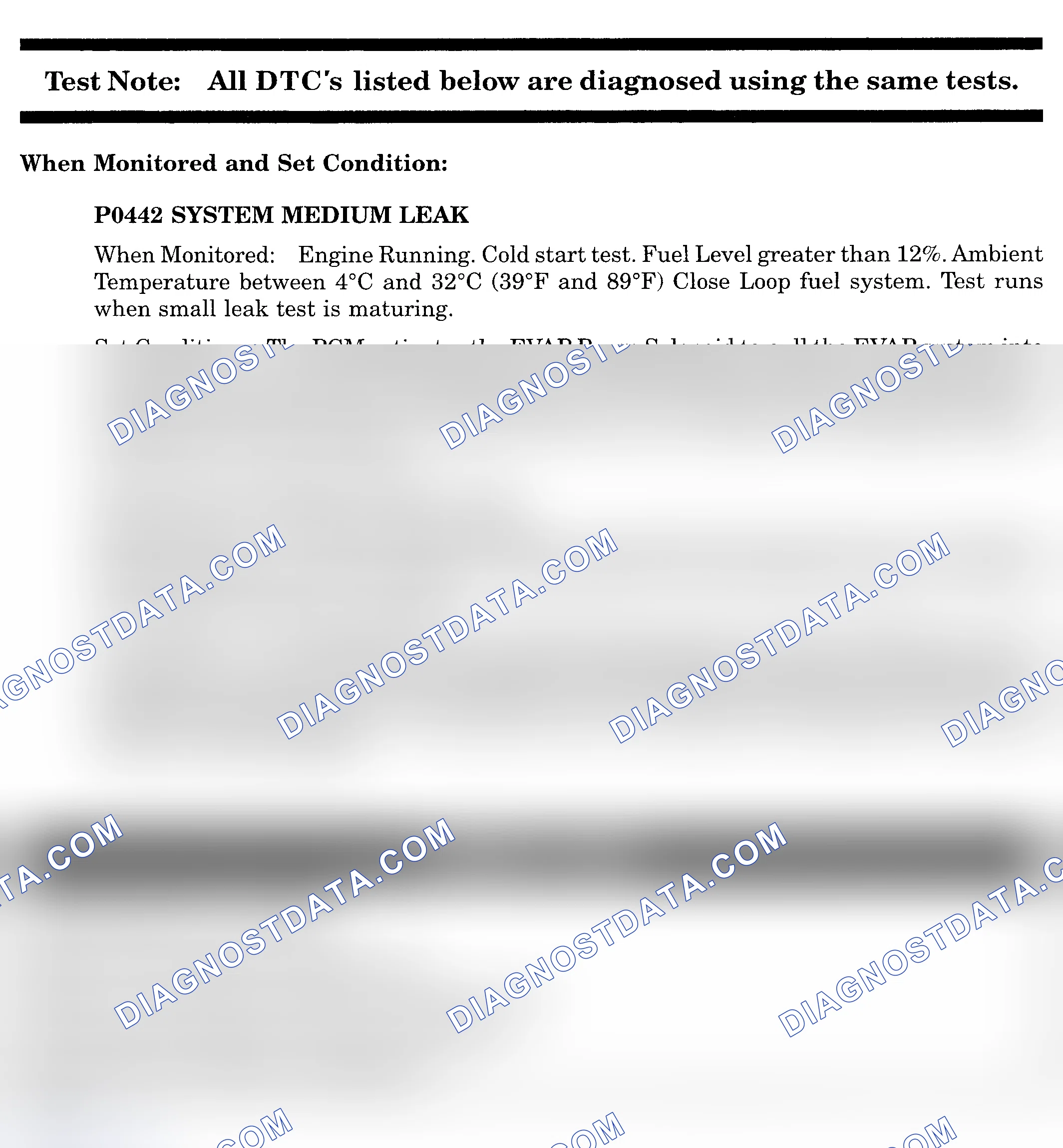 Scheme 539: DTC P0442: SYSTEM MEDIUM LEAK