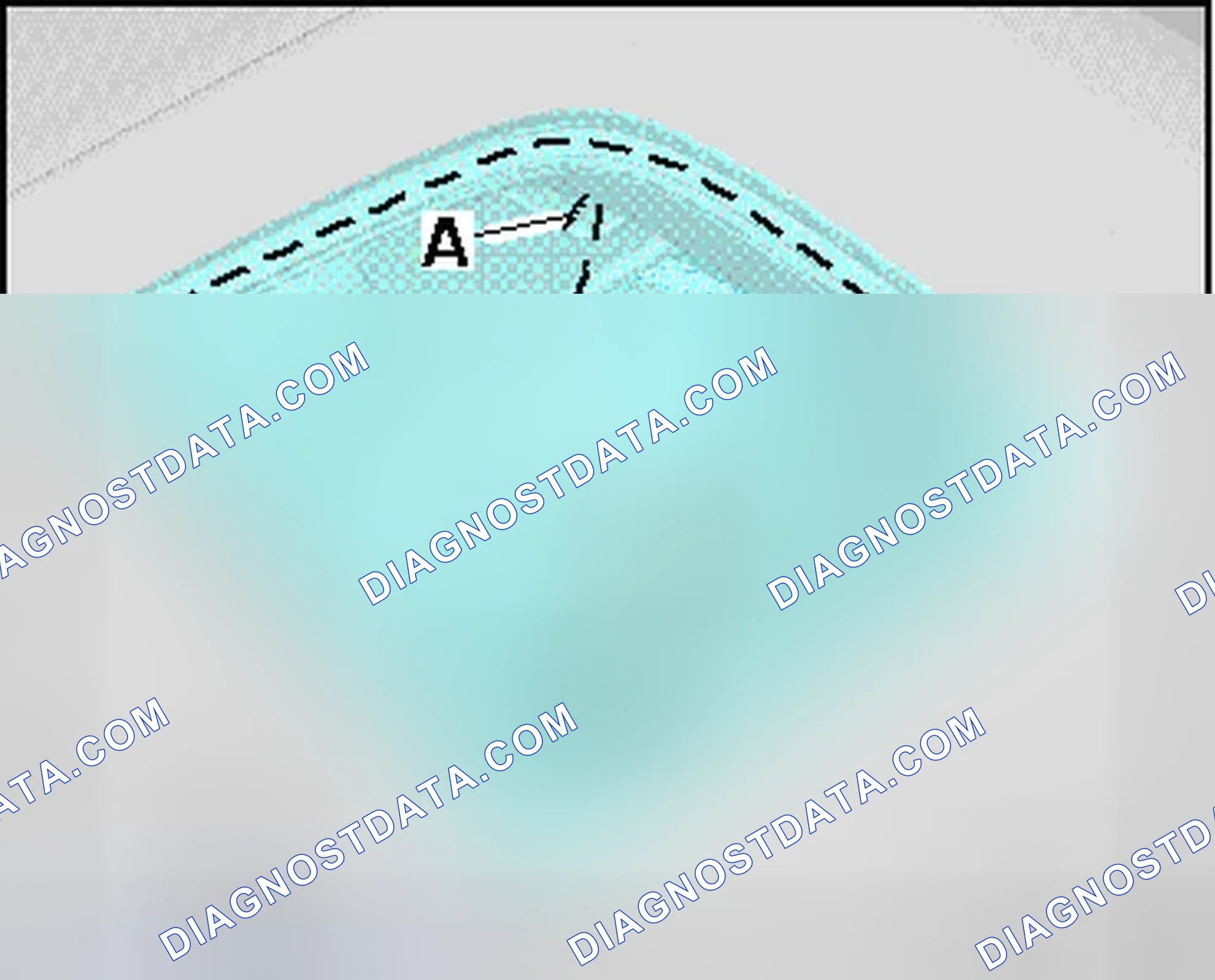 Scheme 69