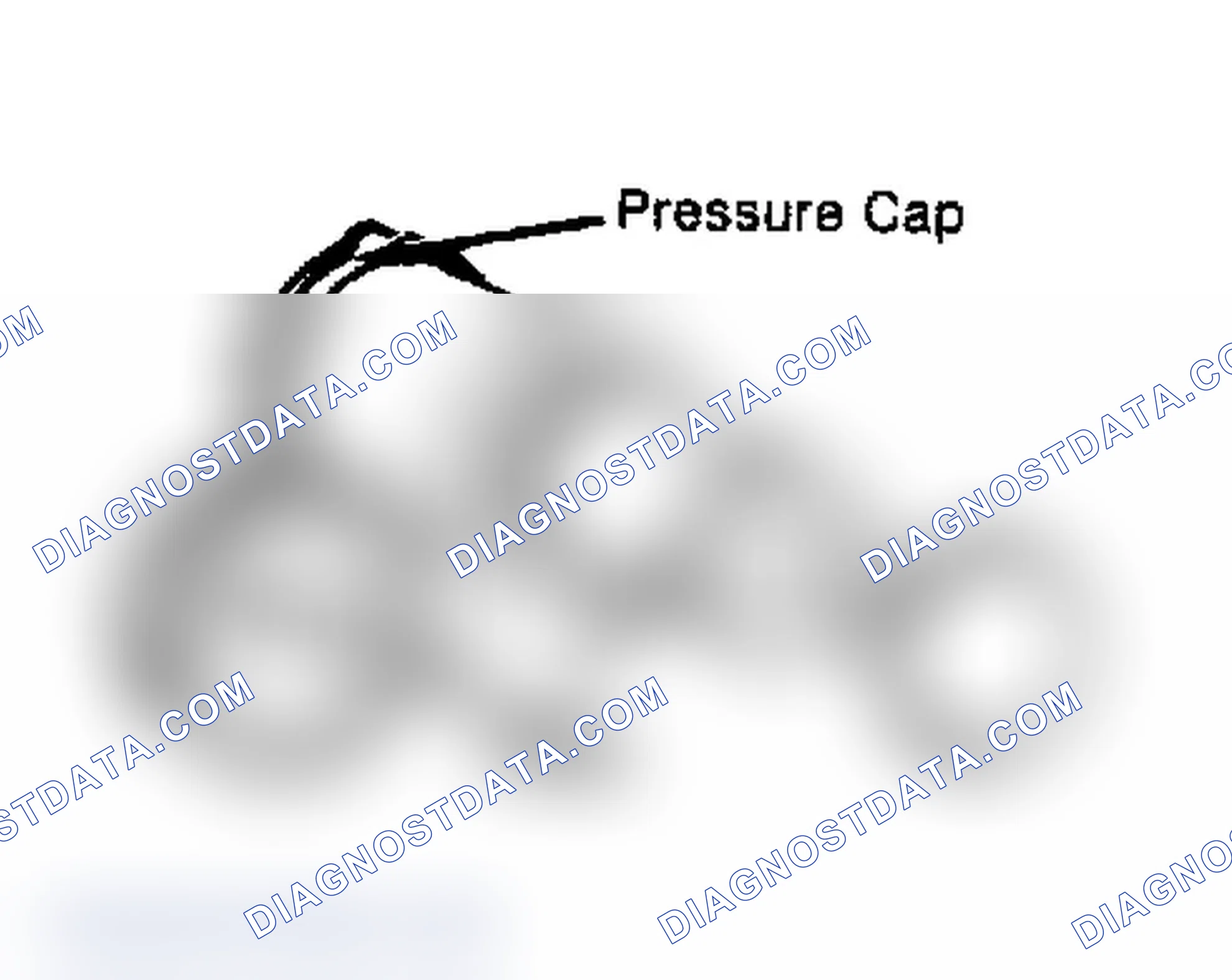 Scheme 2: Testing Radiator Pressure Cap Wet cap gasket before testing.