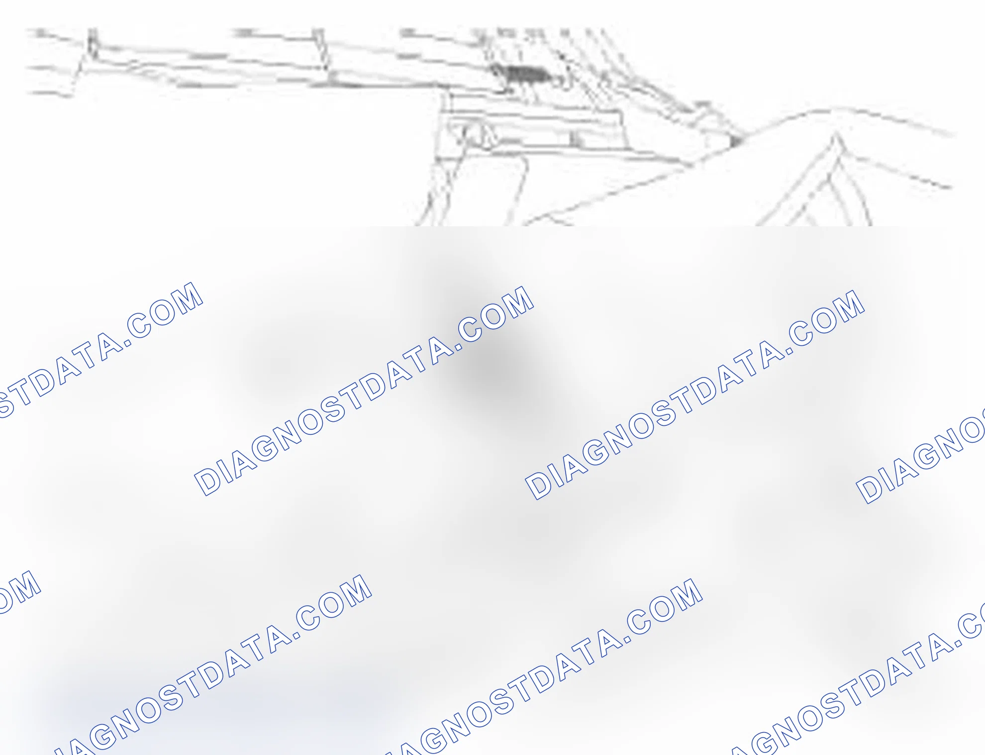 Scheme 162