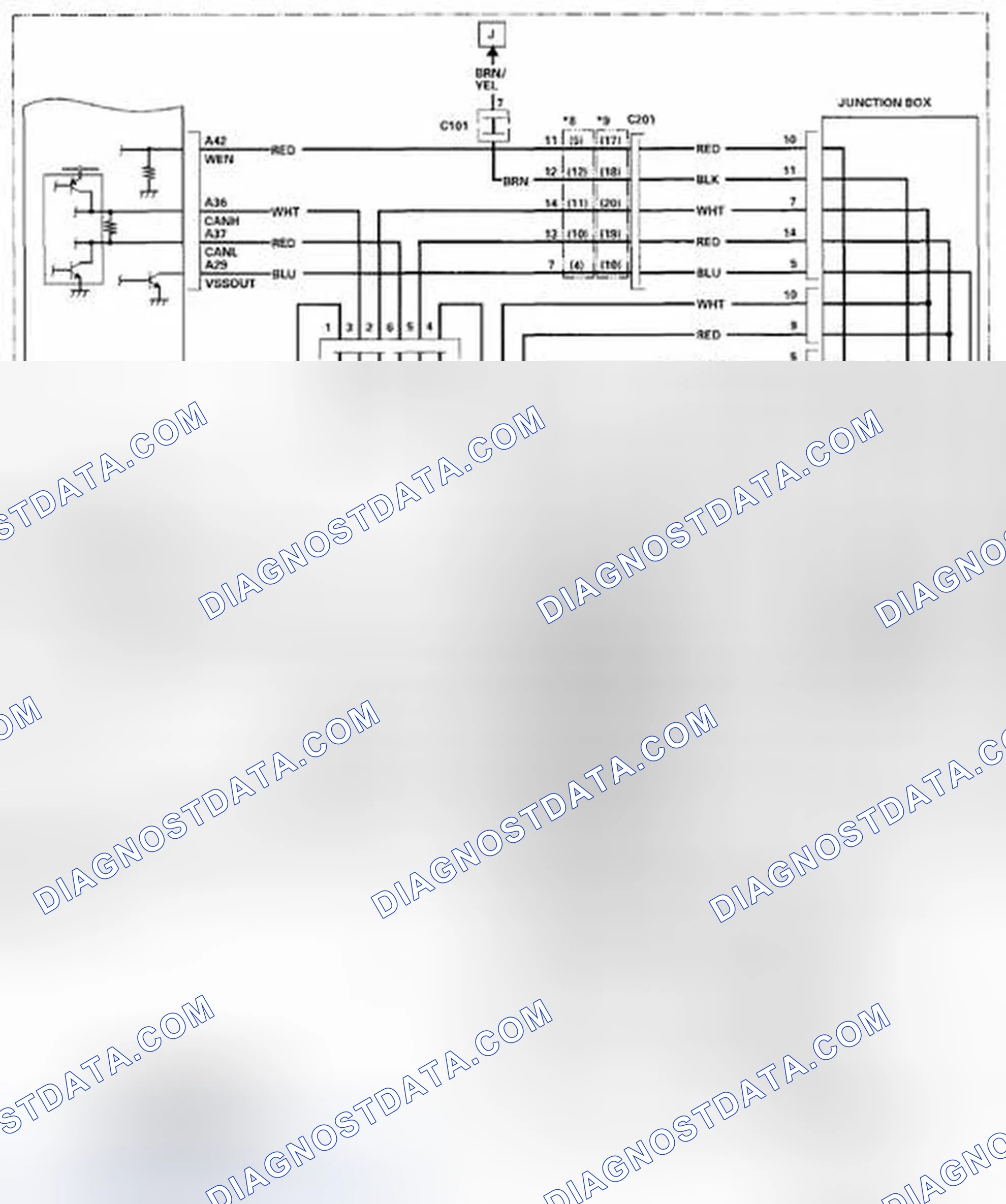 Scheme 919