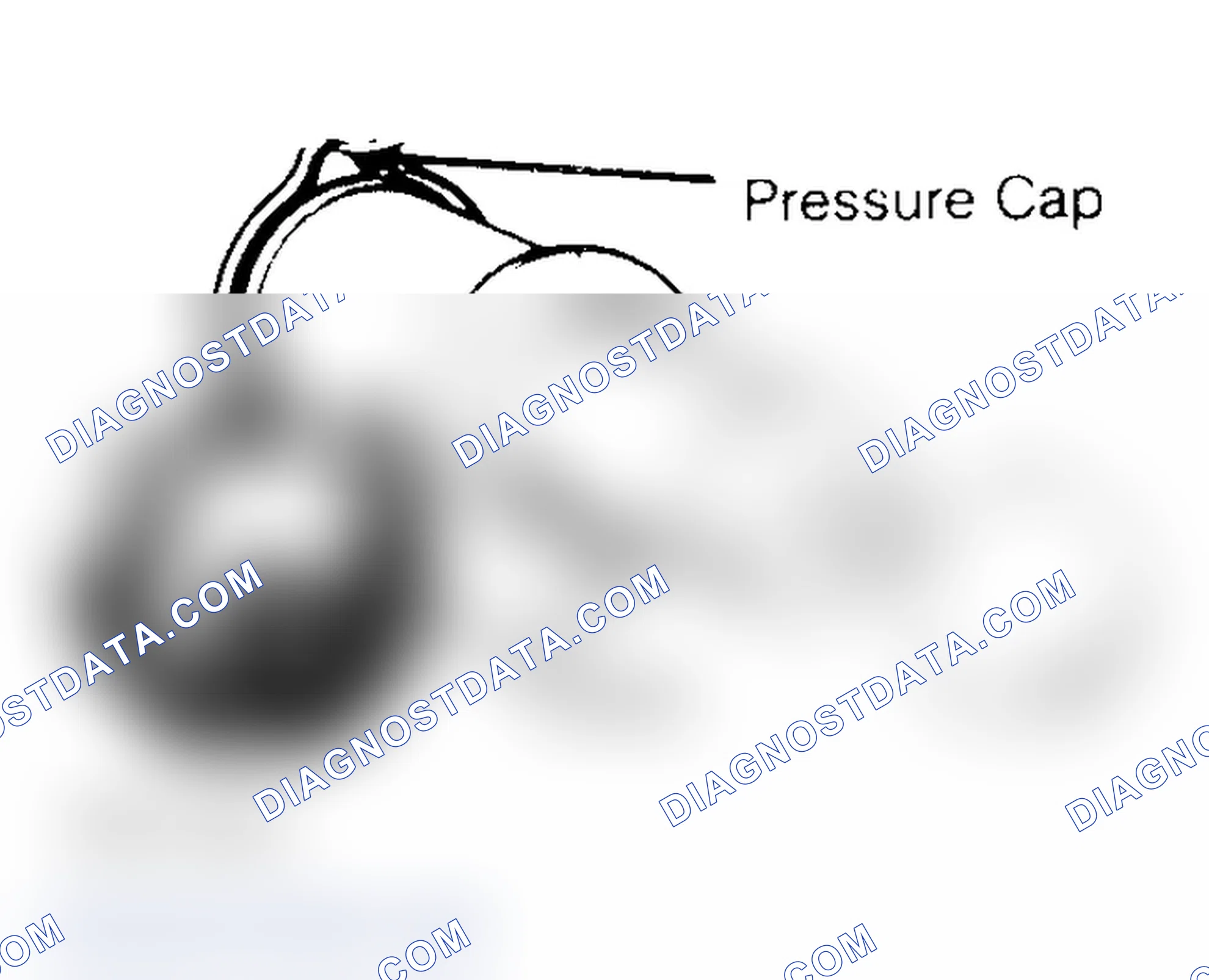 Scheme 2: Pressure Testing Radiator Cap