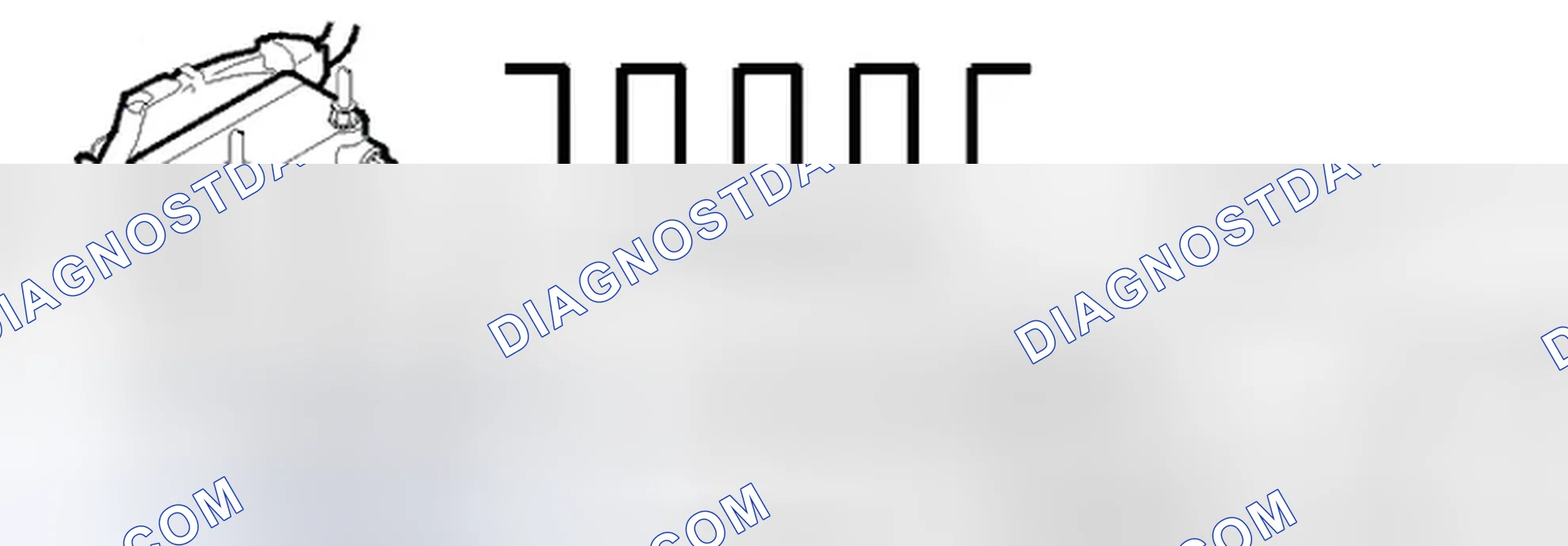 Scheme 28: Diagnostic trouble code (DTC) information