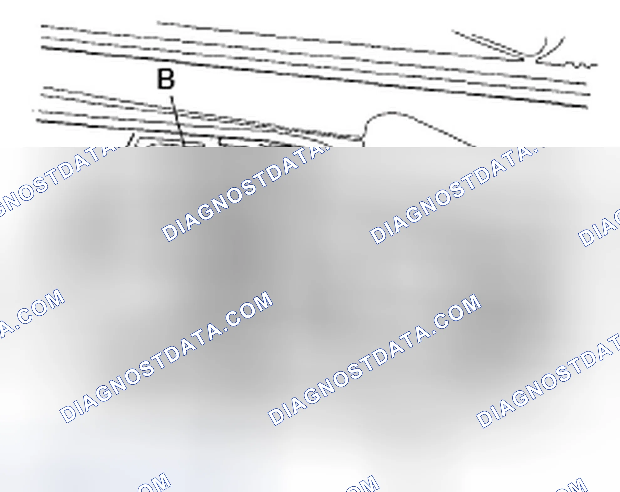 Scheme 143
