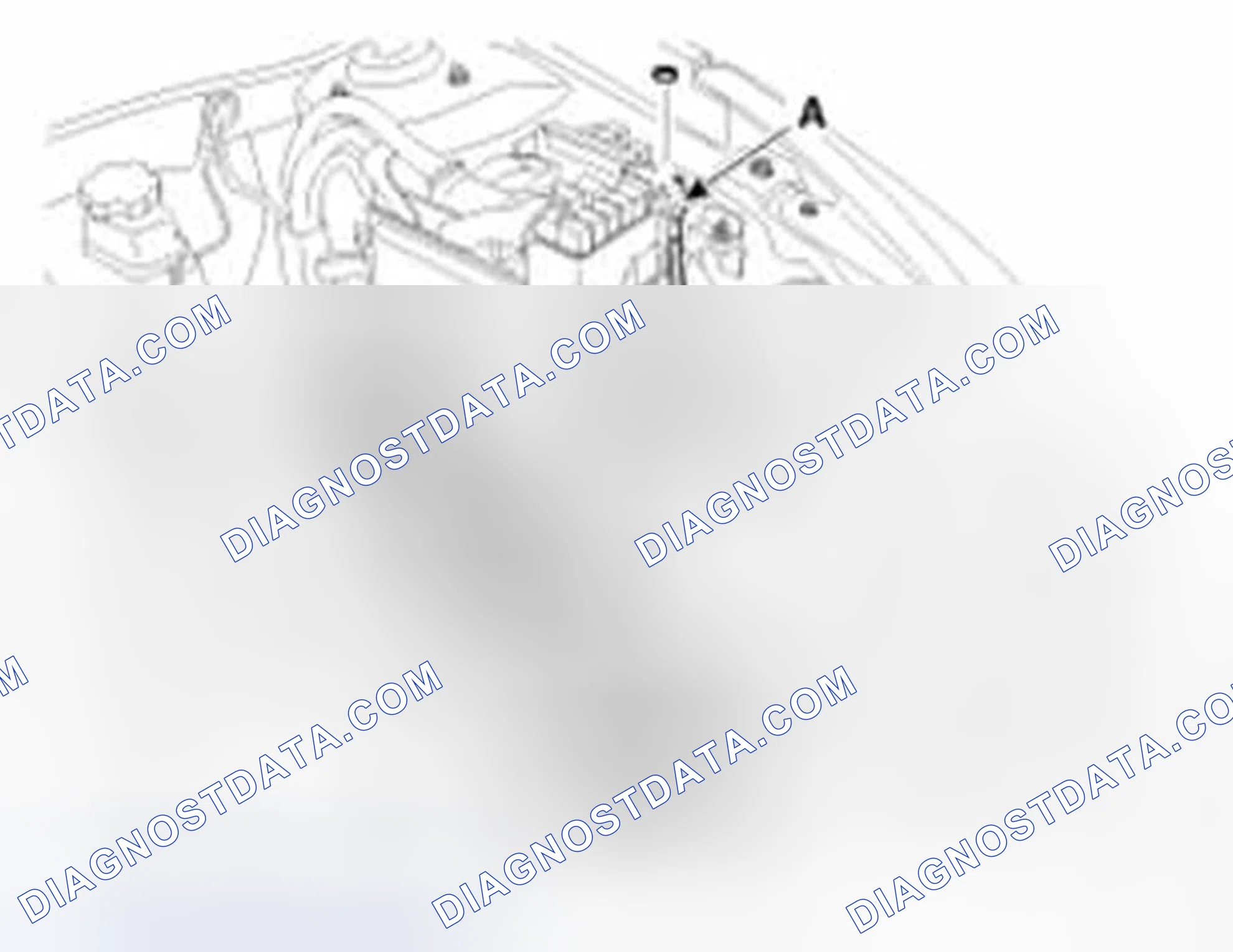 Scheme 312