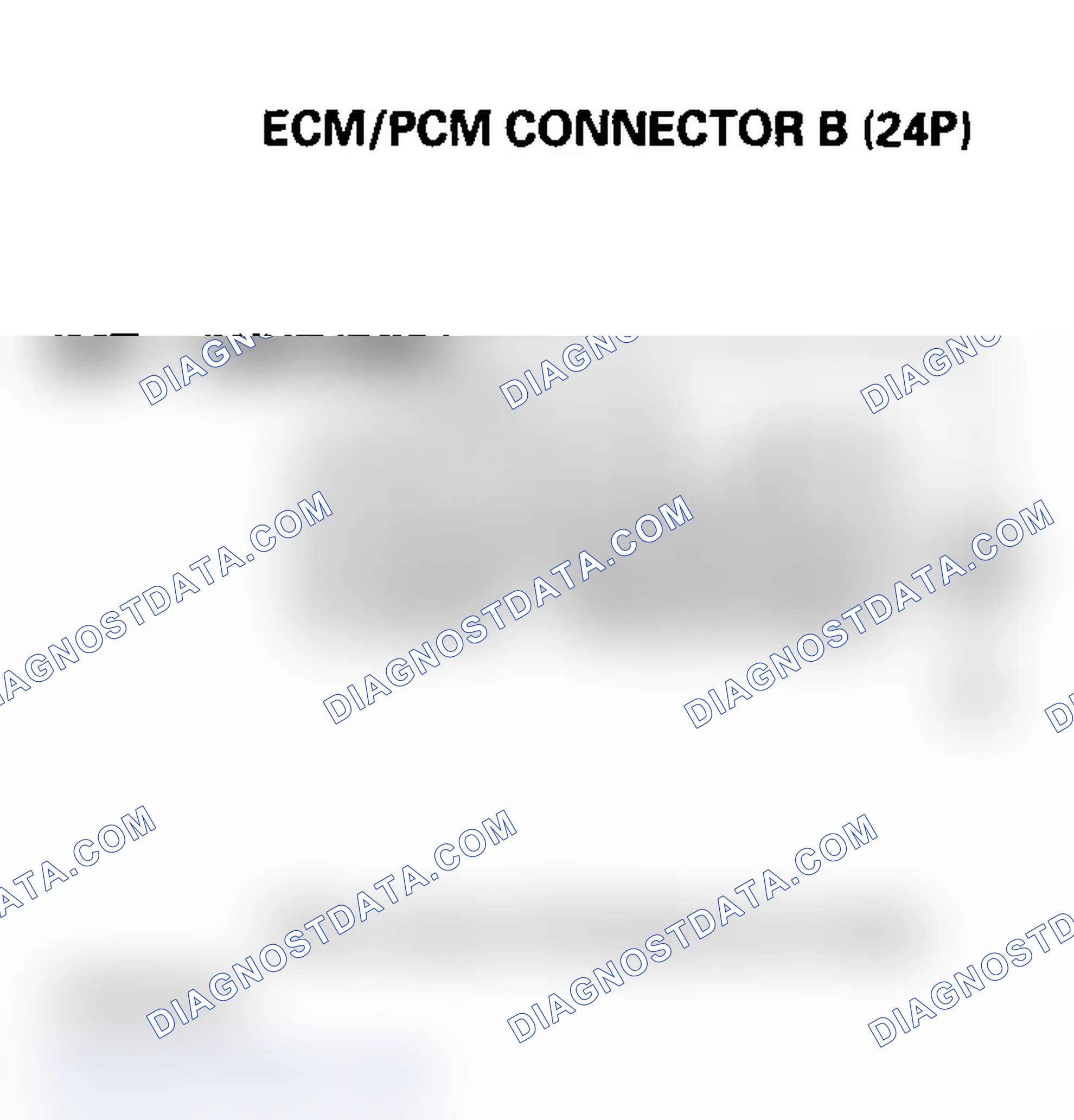 Scheme 519