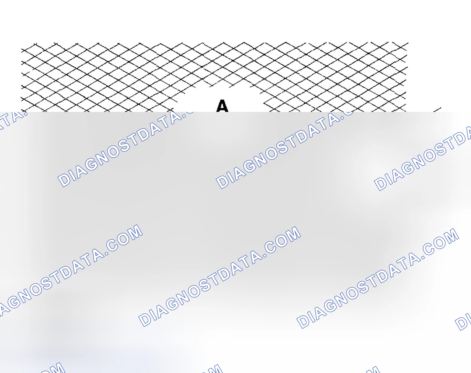 Scheme 251: Cylinder Bore Honing