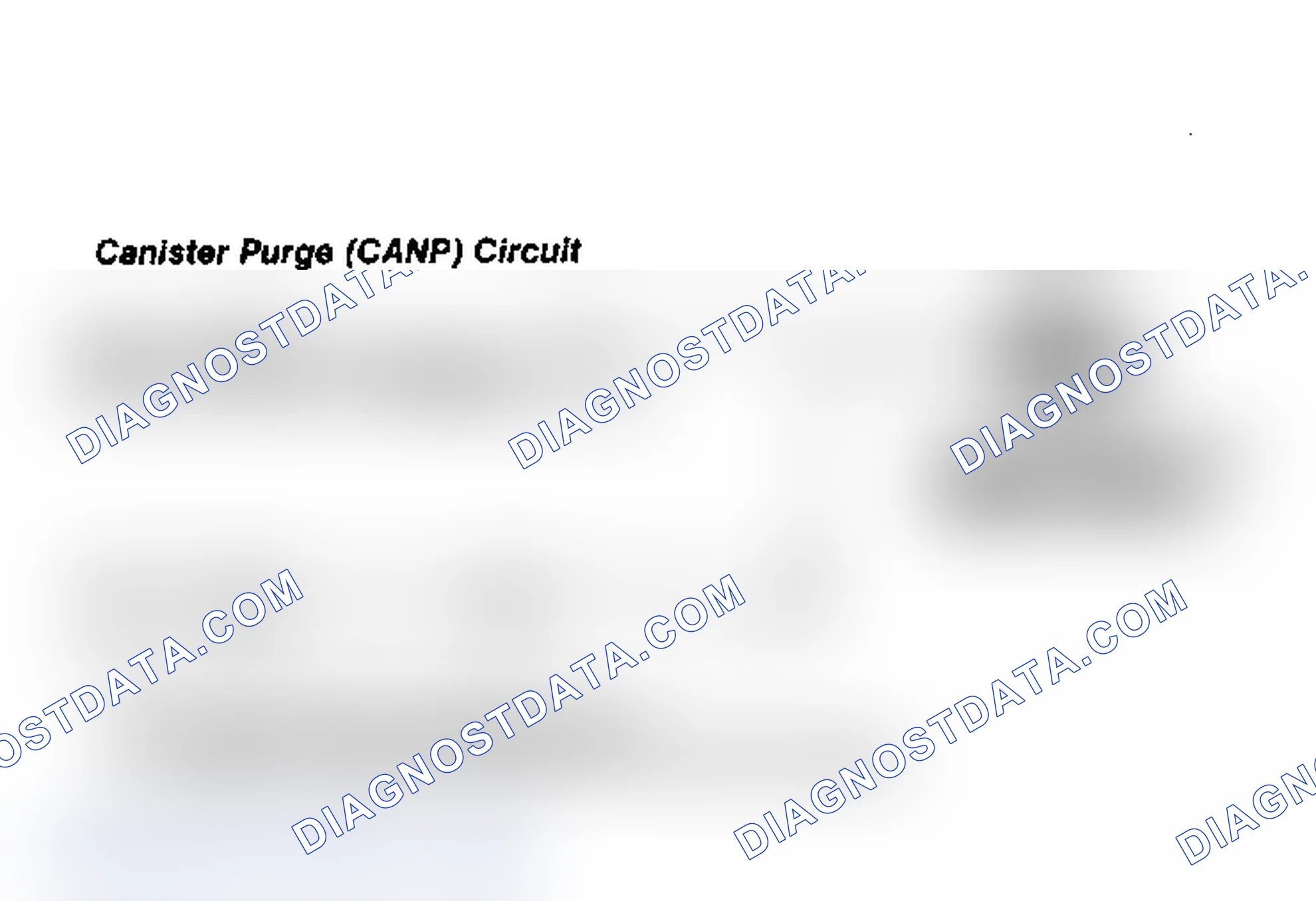 Scheme 47: Canister Purge (CANP) Circuit