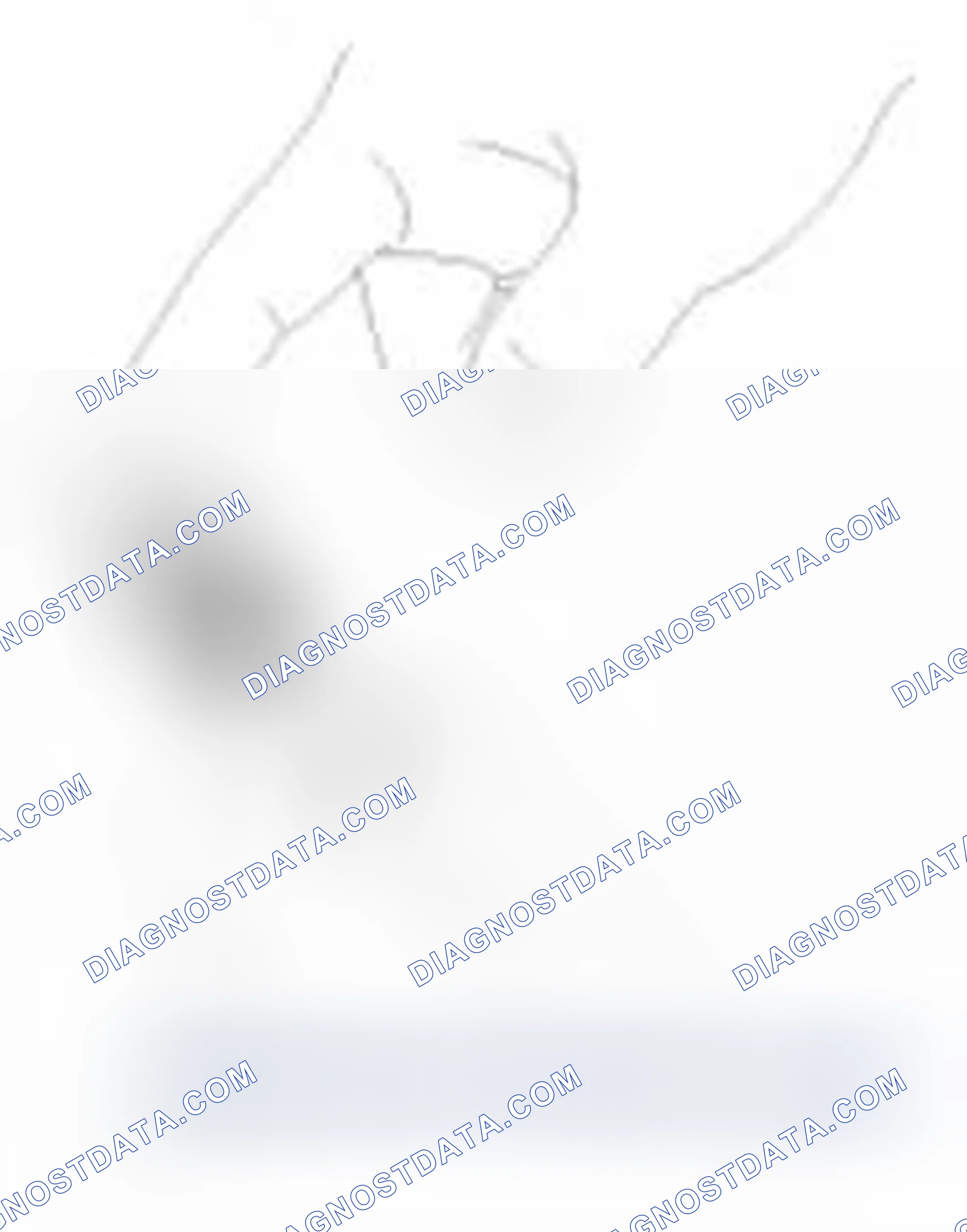 Scheme 276: Inspection