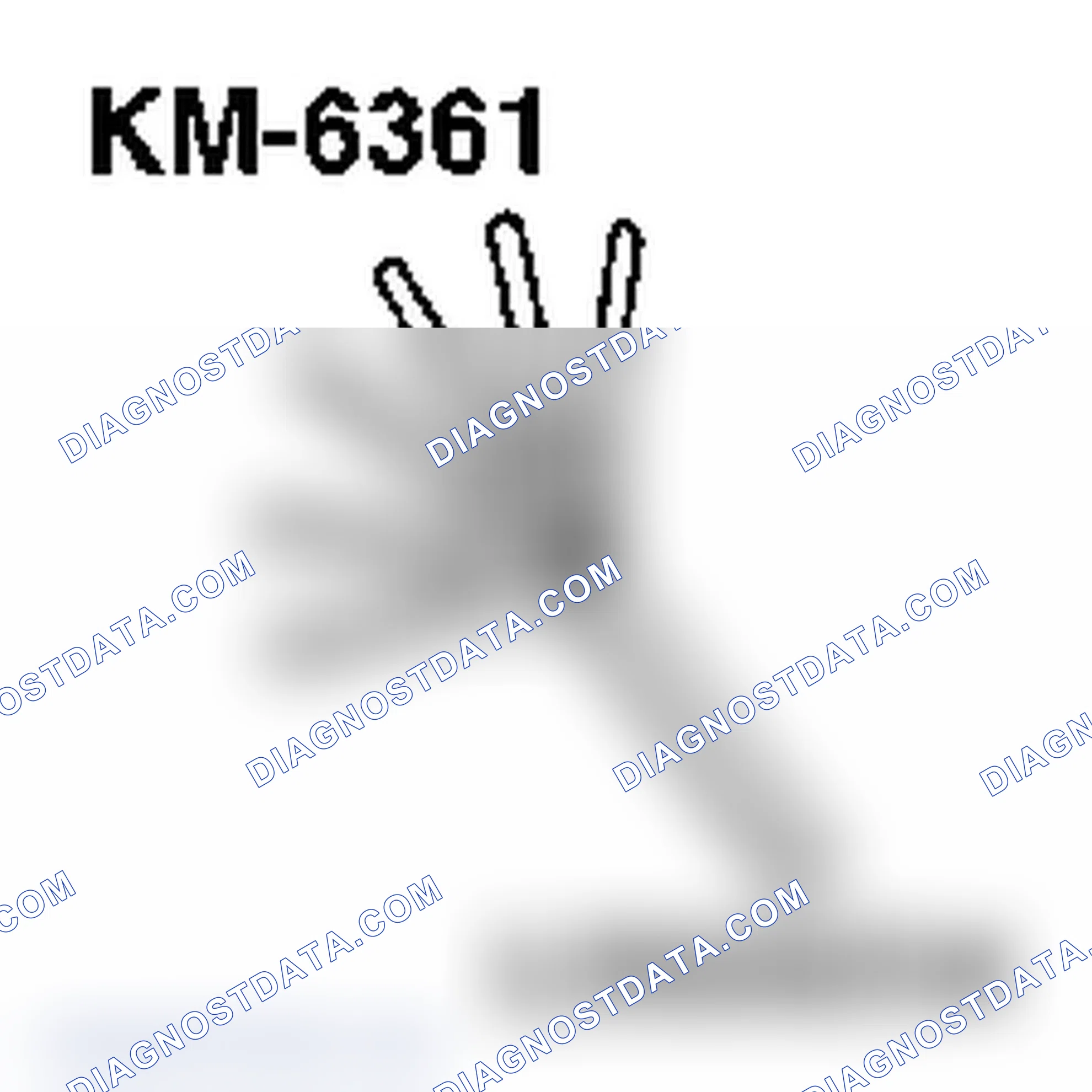 Special Service Tools