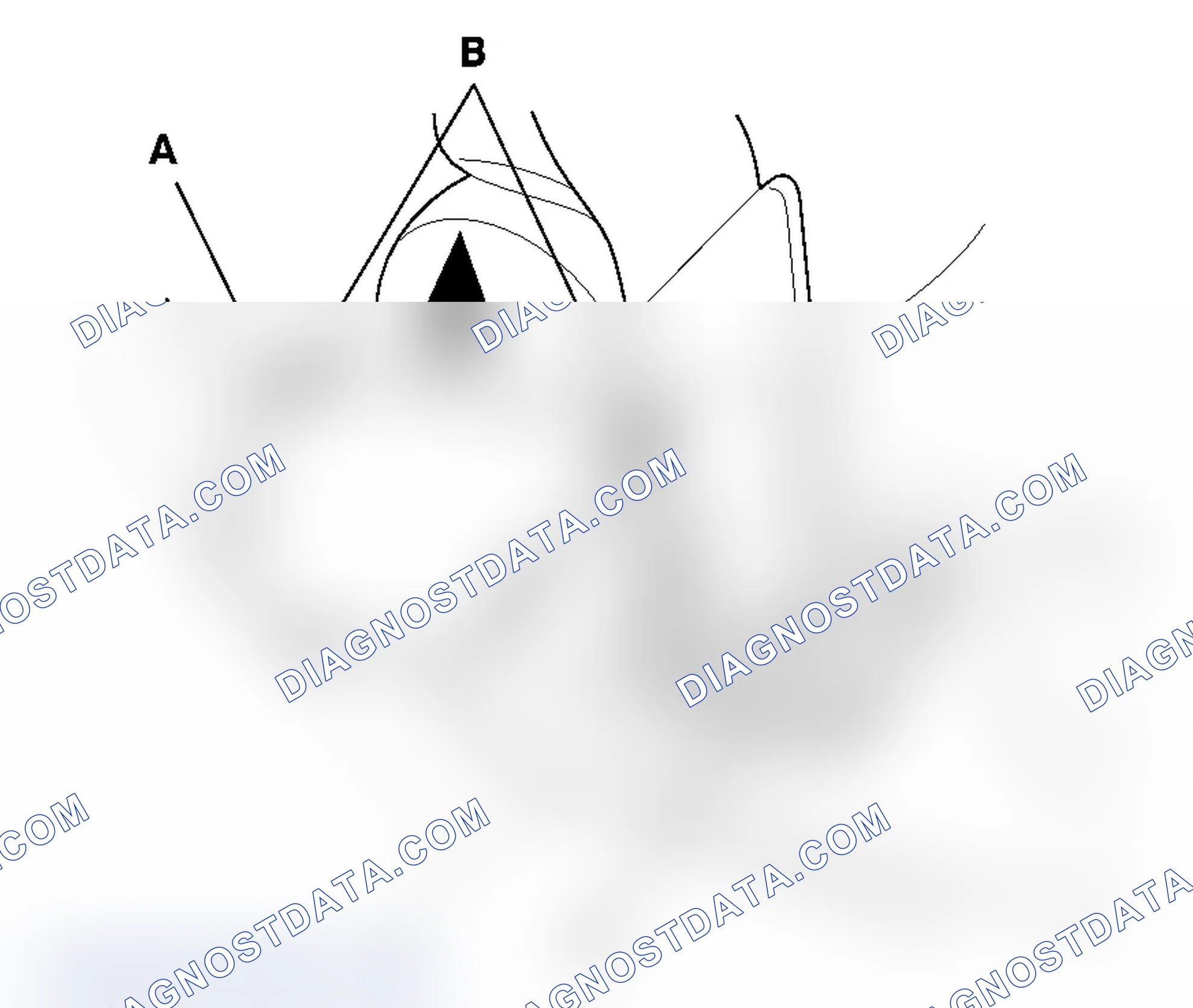 Scheme 5