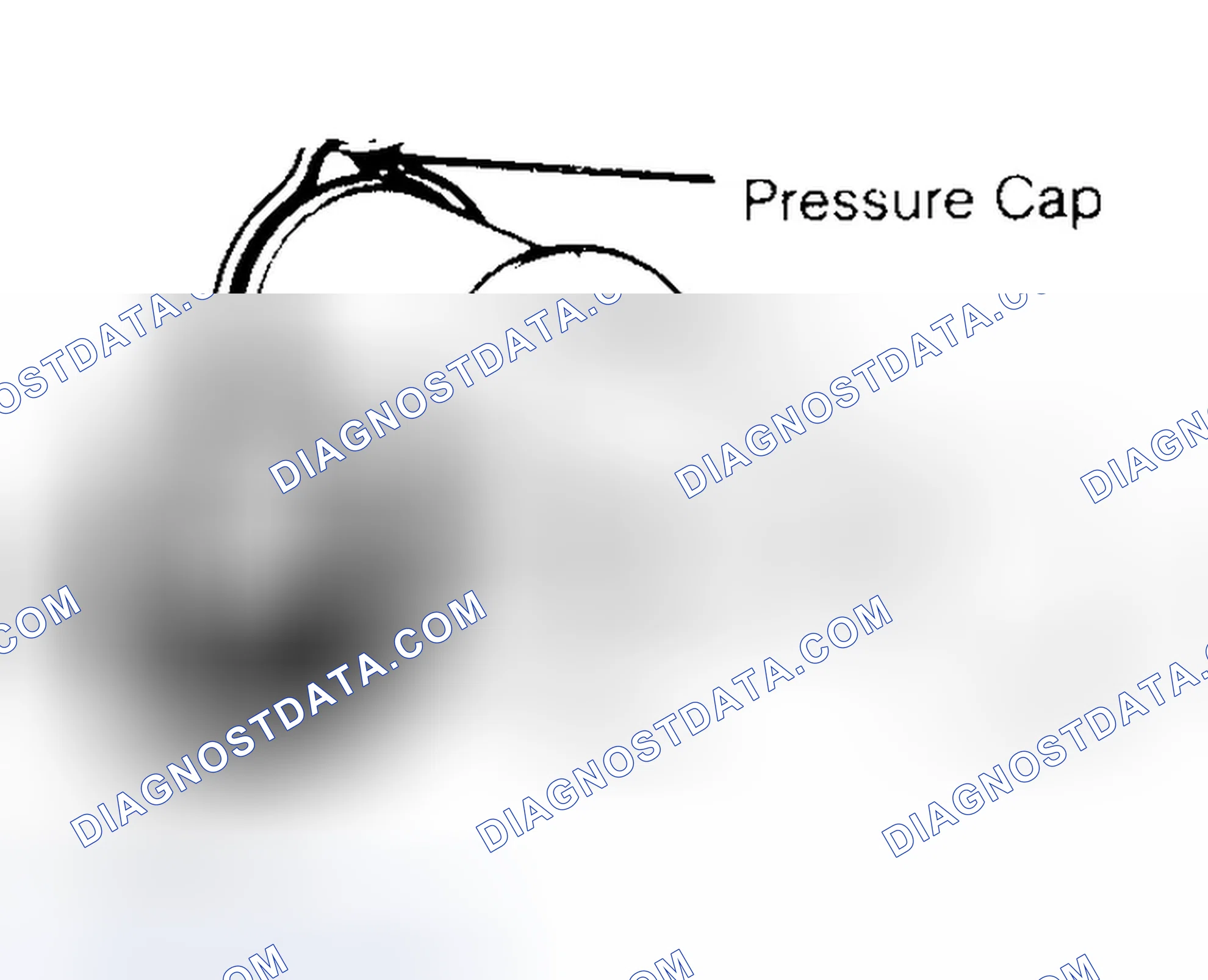 Scheme 2: Pressure Testing Radiator Cap