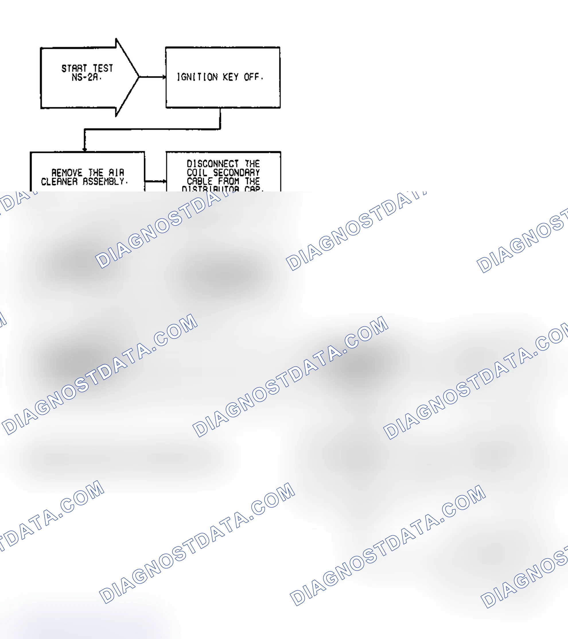 Scheme 12: Test NS-2A: (1 of 2) Fuel Spray & Fault Messages With DRB-II