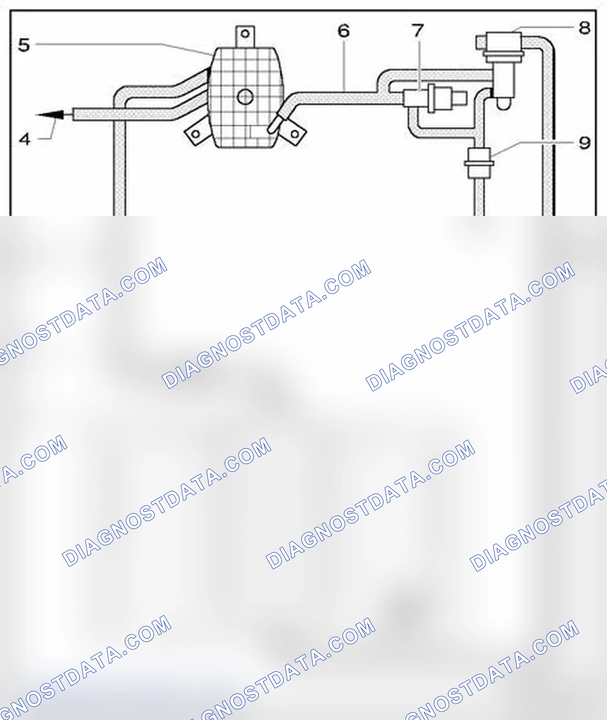 Scheme 91: Evaporative emissions (EVAP) system with leak detection system, vehicles with 8-cyl. engine, hose ro