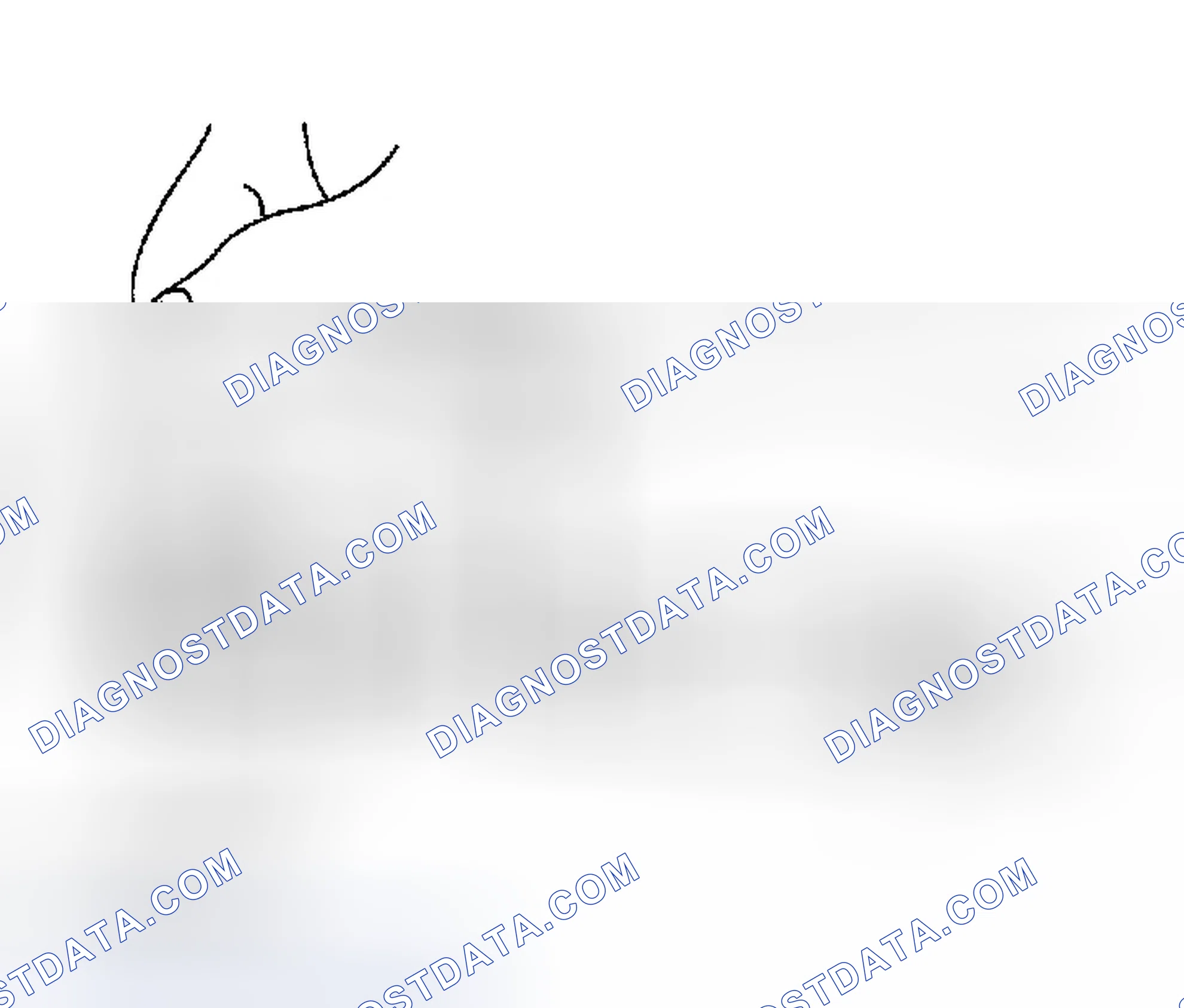 Scheme 122
