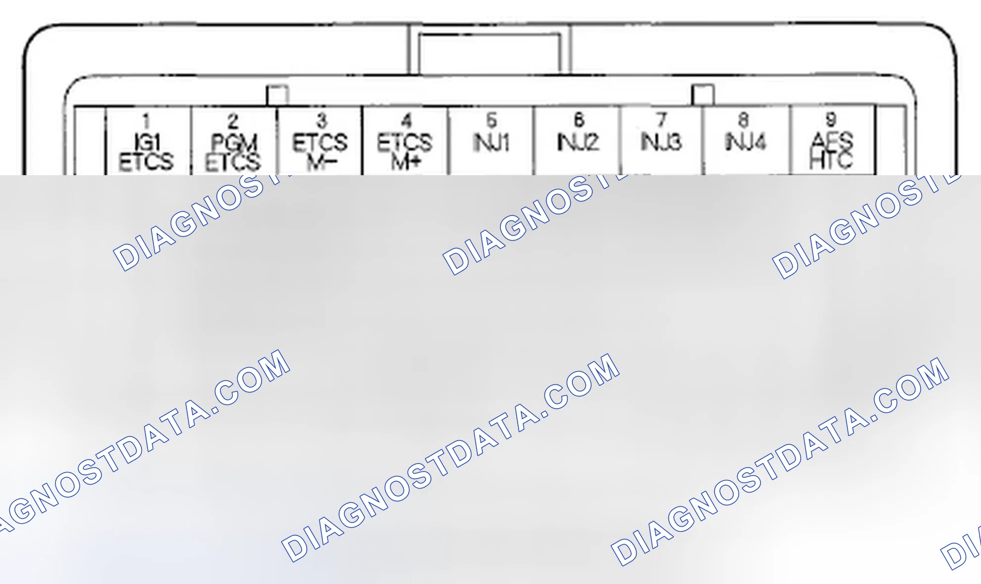 Scheme 905: ECM/PCM Inputs and Outputs at ECM/PCM Connector C (o) (44P)