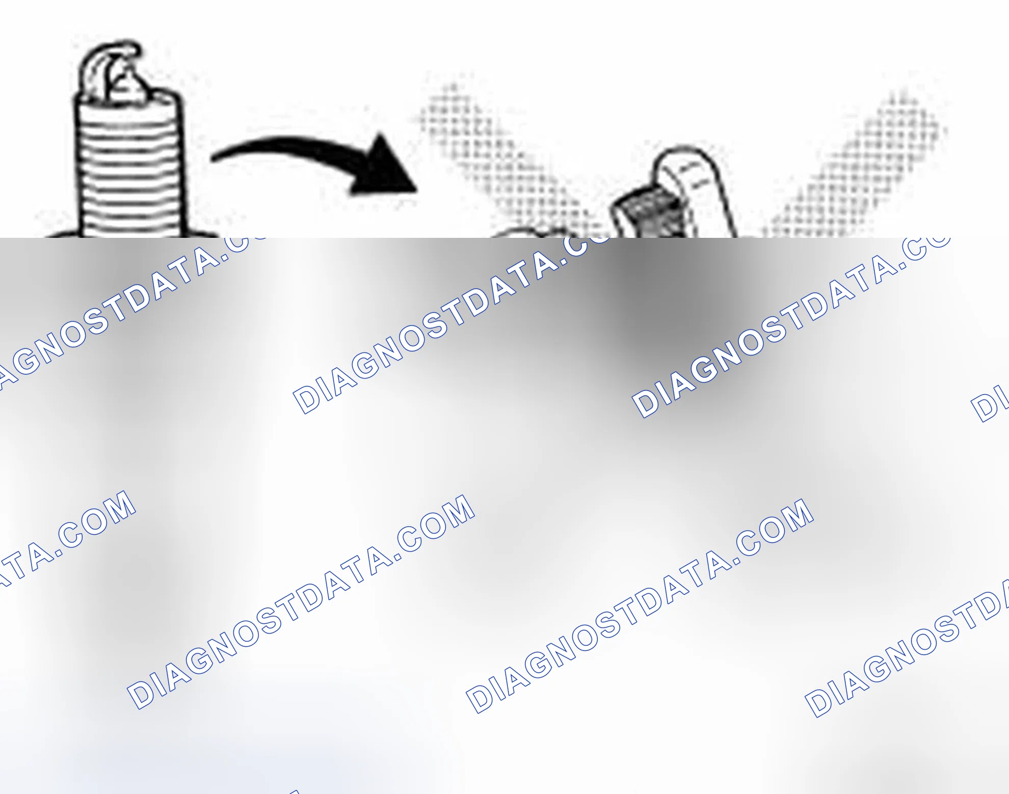 Scheme 18: INSPECTION AFTER REMOVAL