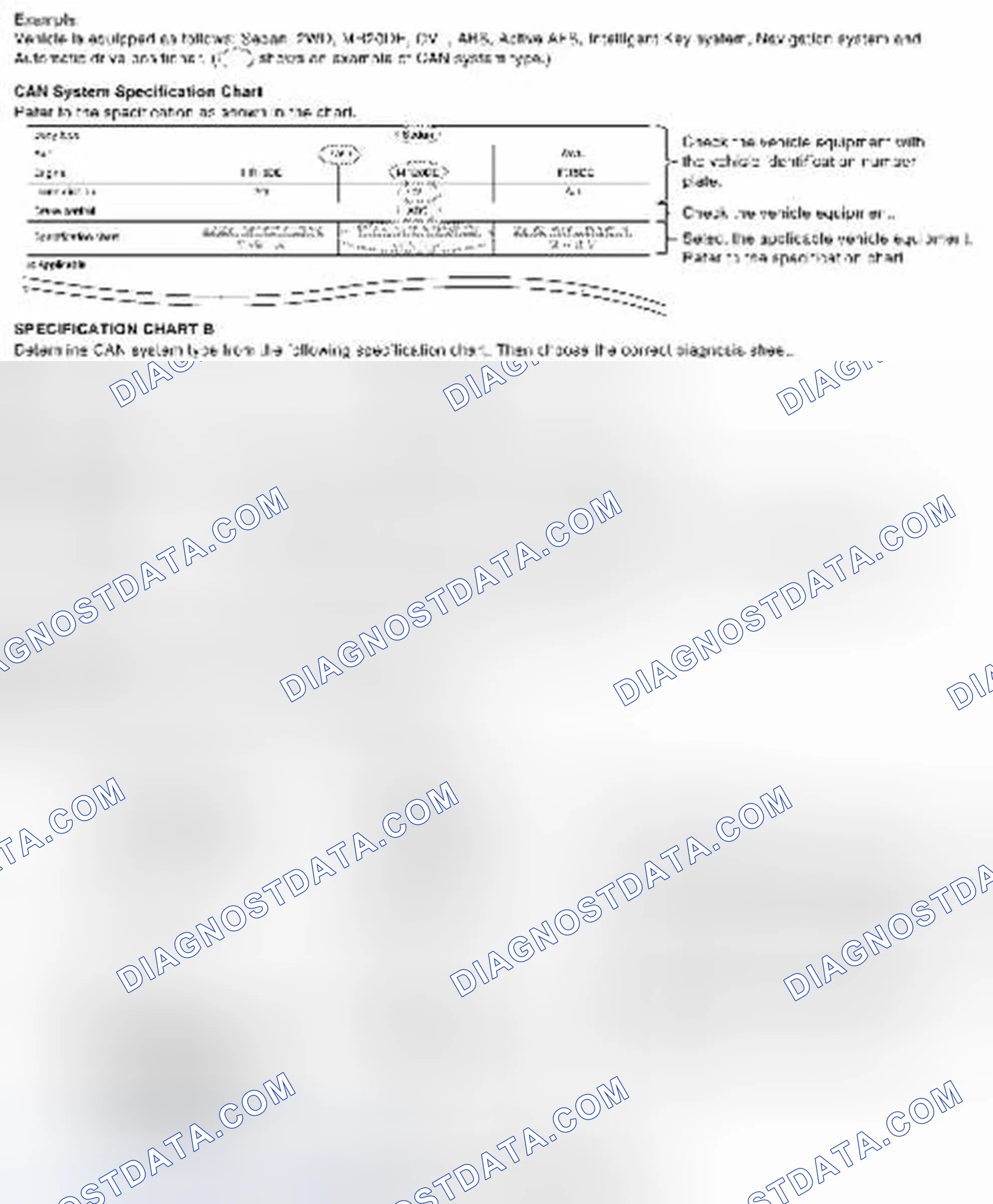 Scheme 2: CAN System Type Specification Chart (Style B)