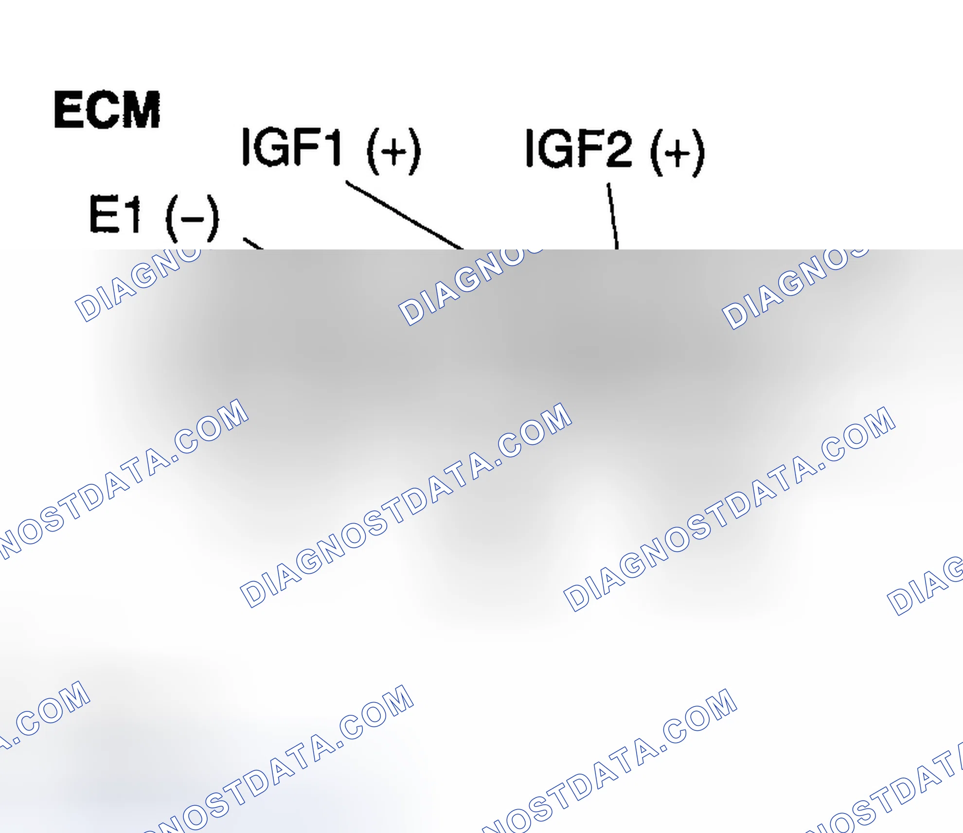 Scheme 333