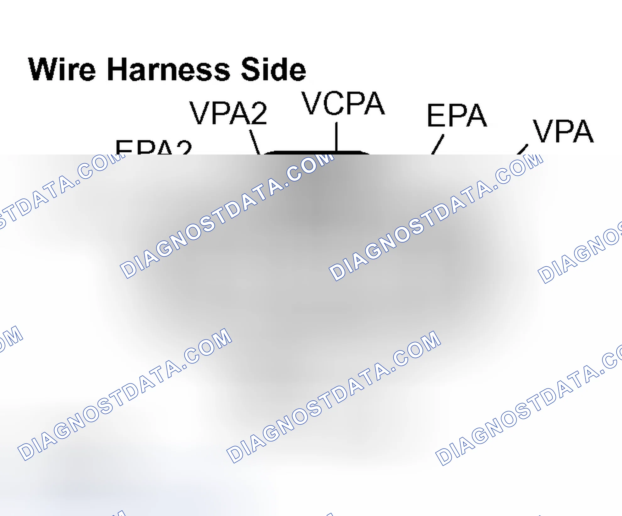 Scheme 518