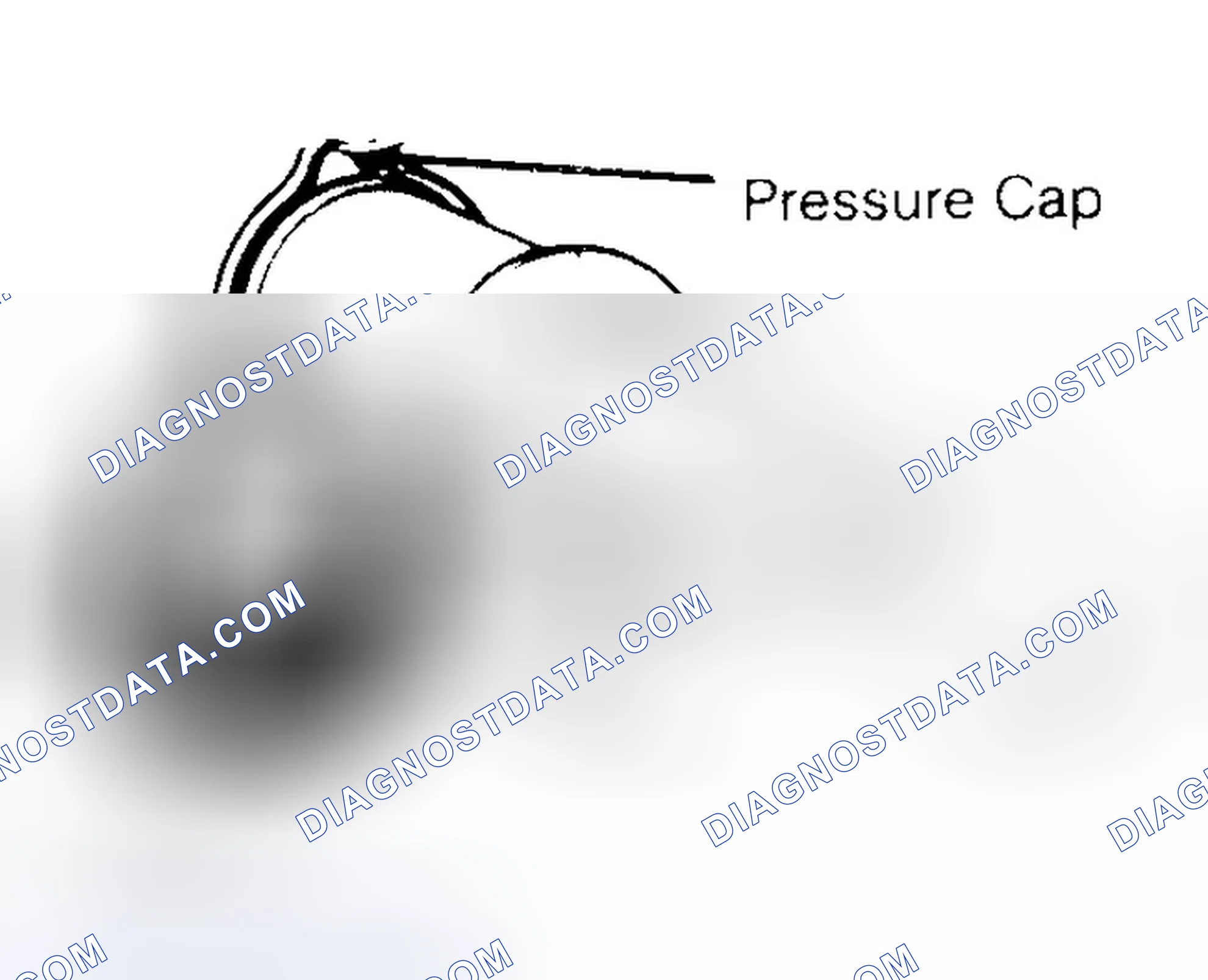 Scheme 2: Pressure Testing Radiator Cap