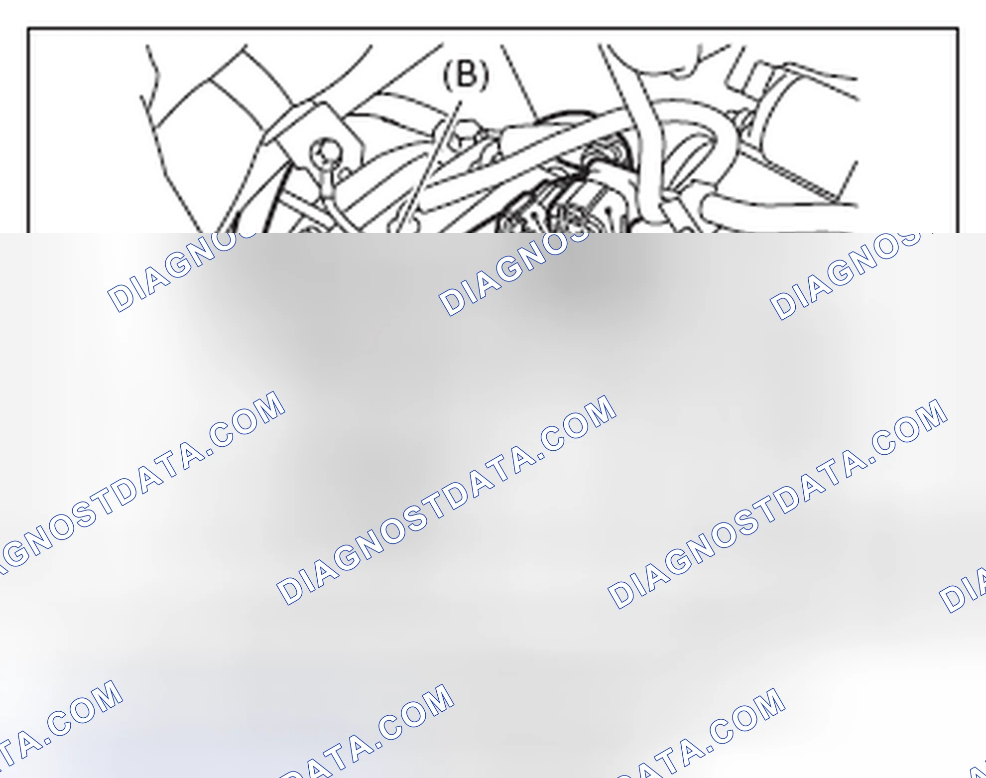 Scheme 229