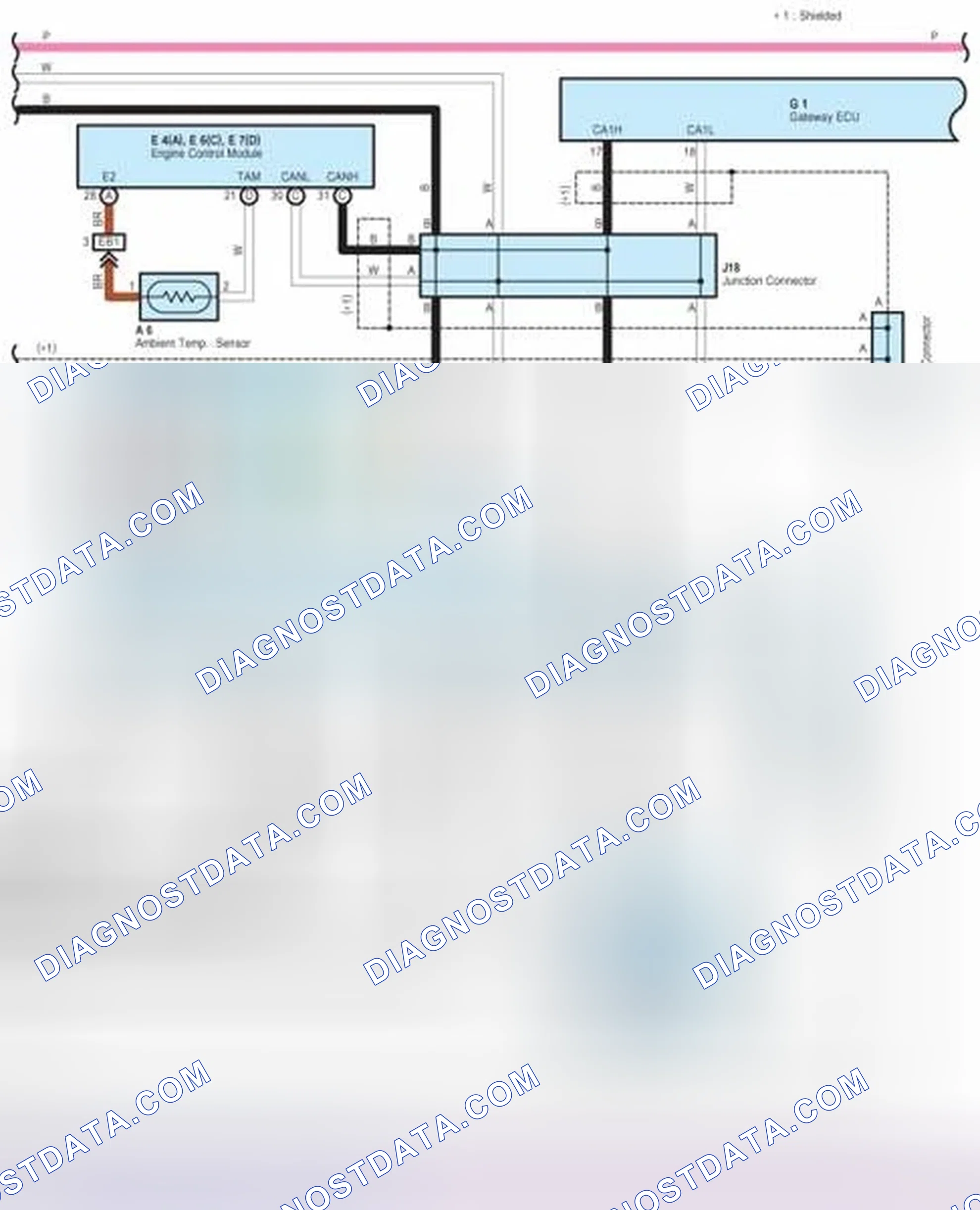 Scheme 384