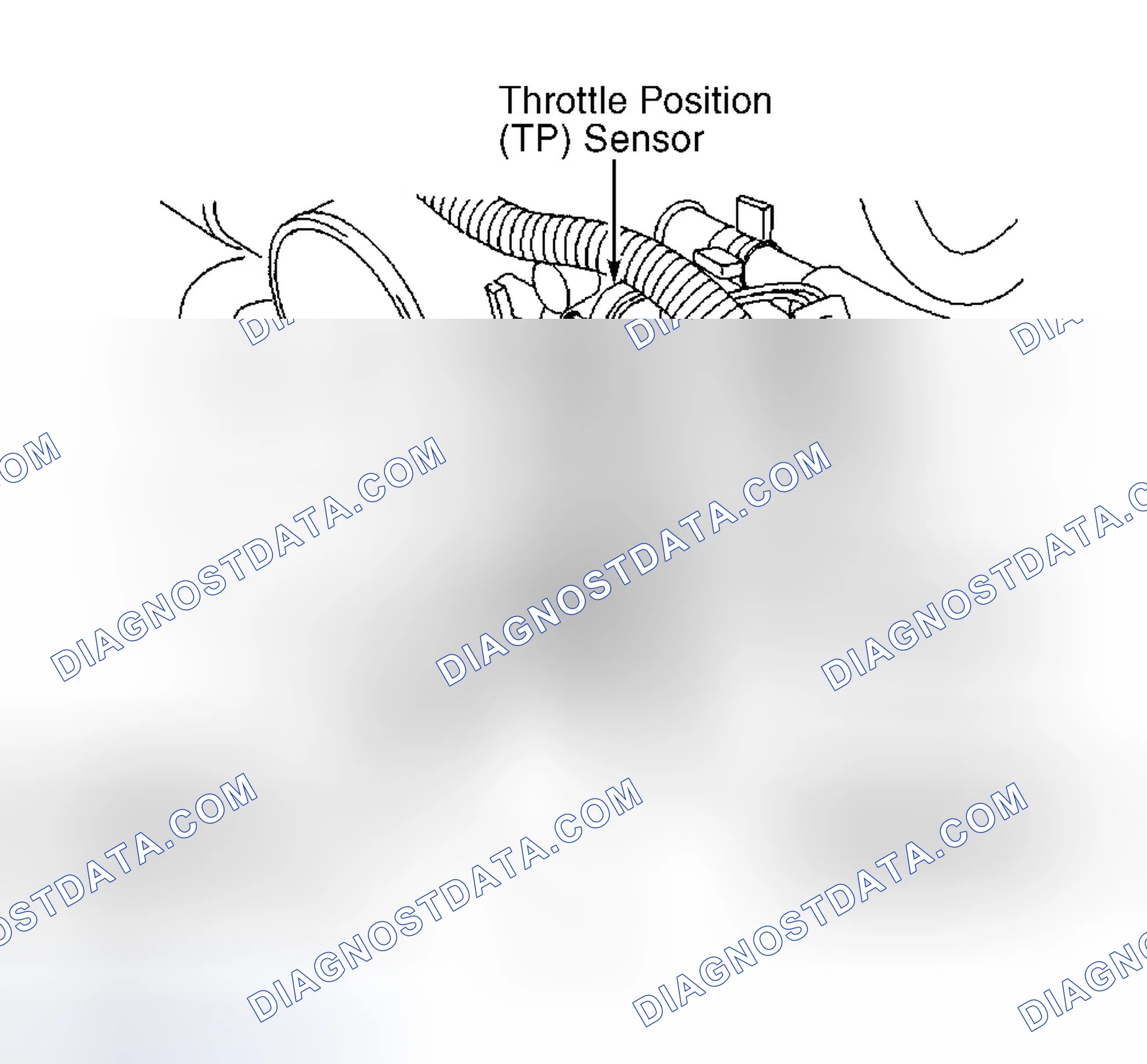 Scheme 6: Front Of Engine (3.2L)