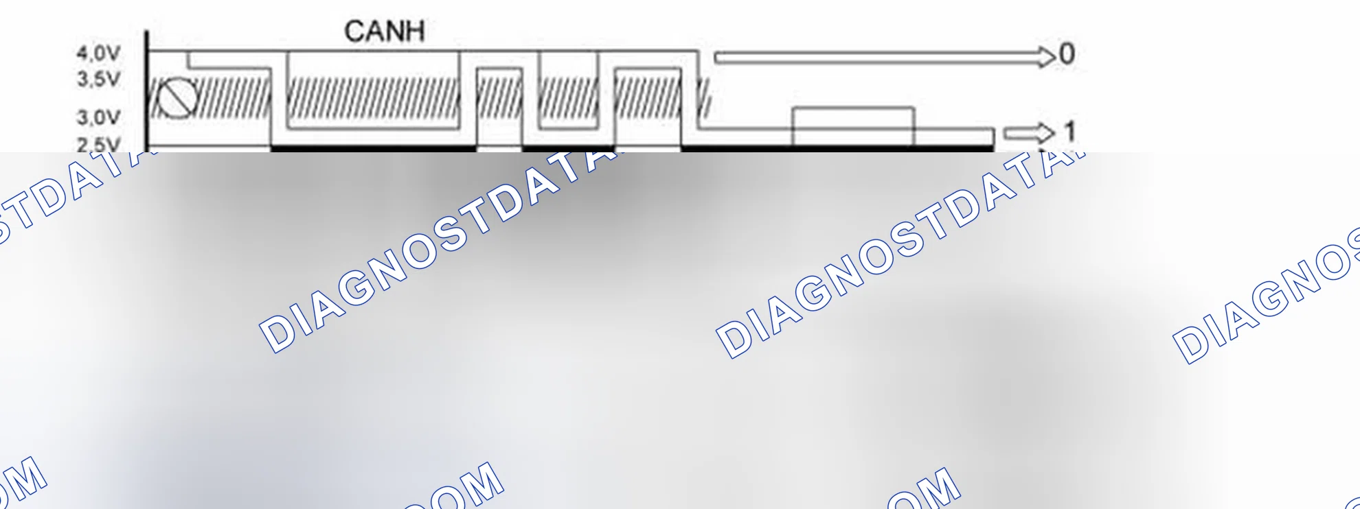 Scheme 504: Cables, CAN H and CAN L