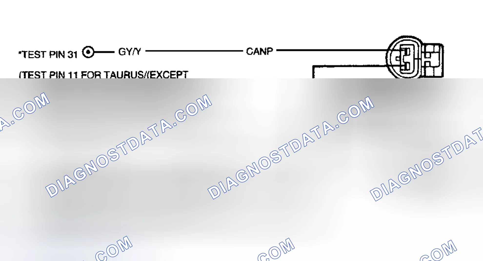 Scheme 84: Identifying Canister Purge (CANP) Circuit
