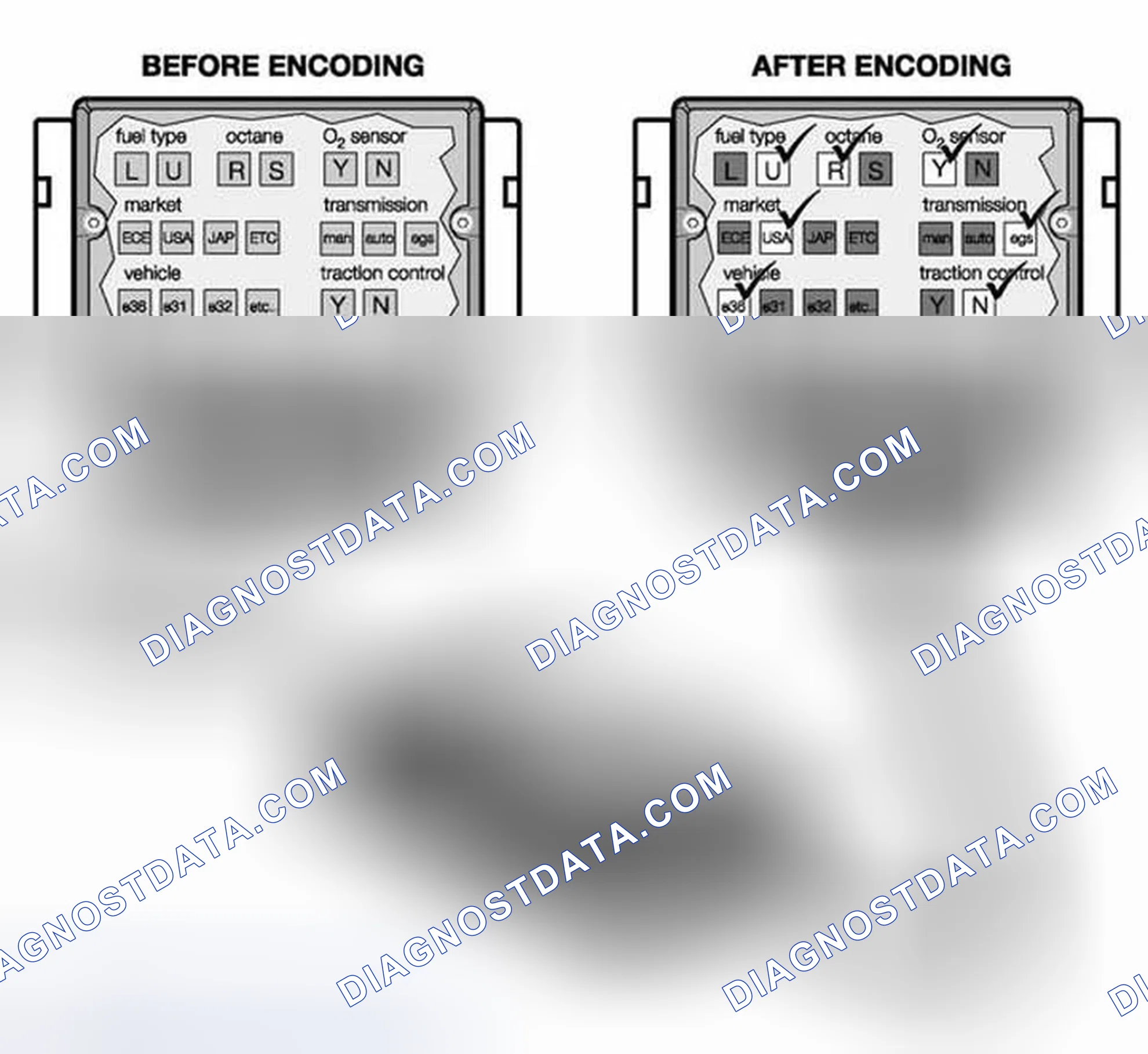 Scheme 131: Coding