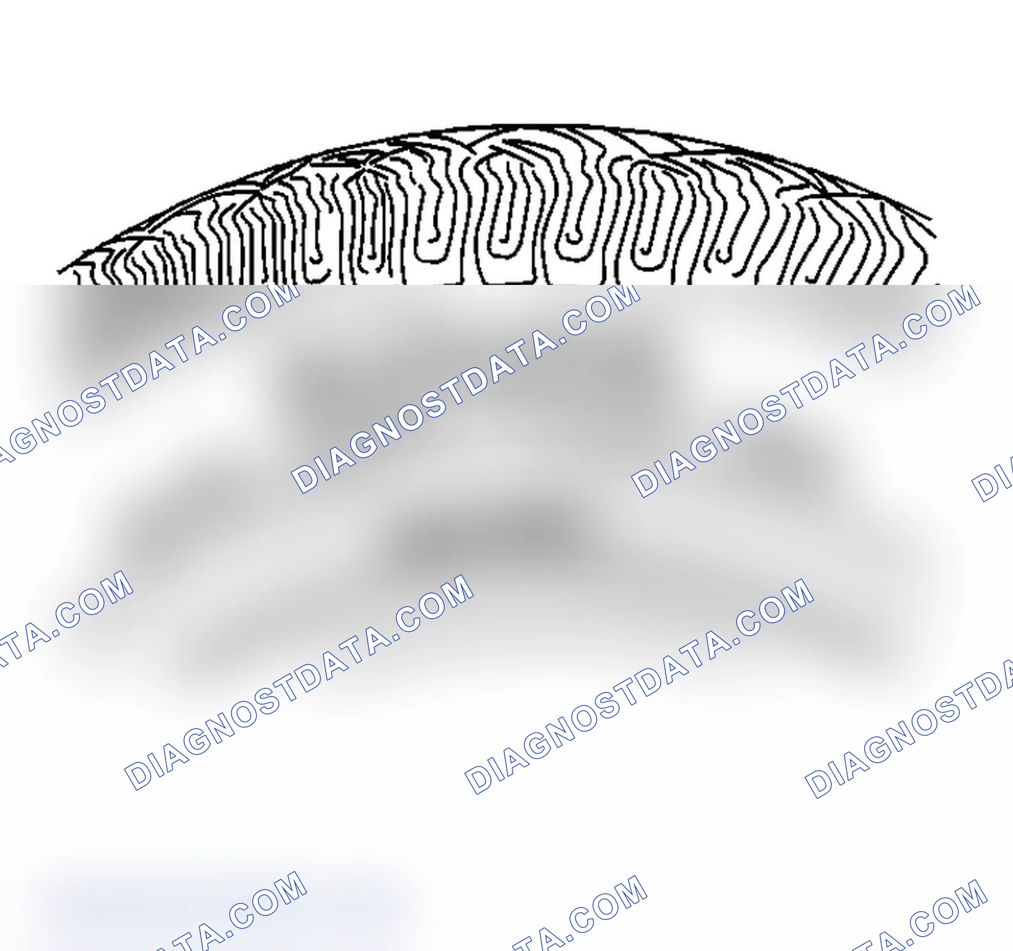 Scheme 2: Tire and Wheel Inspection