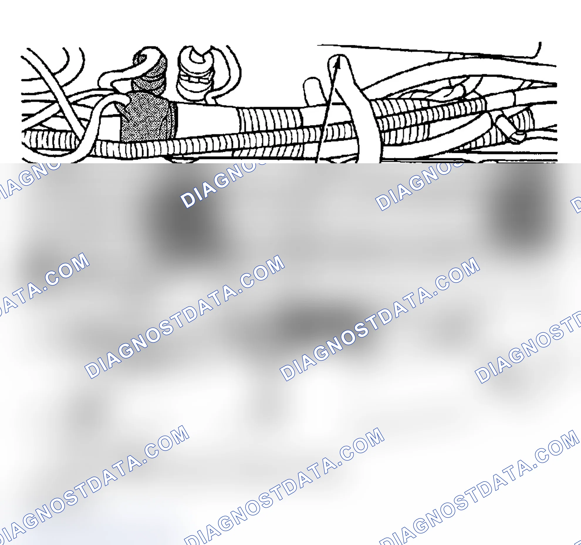 Scheme 17