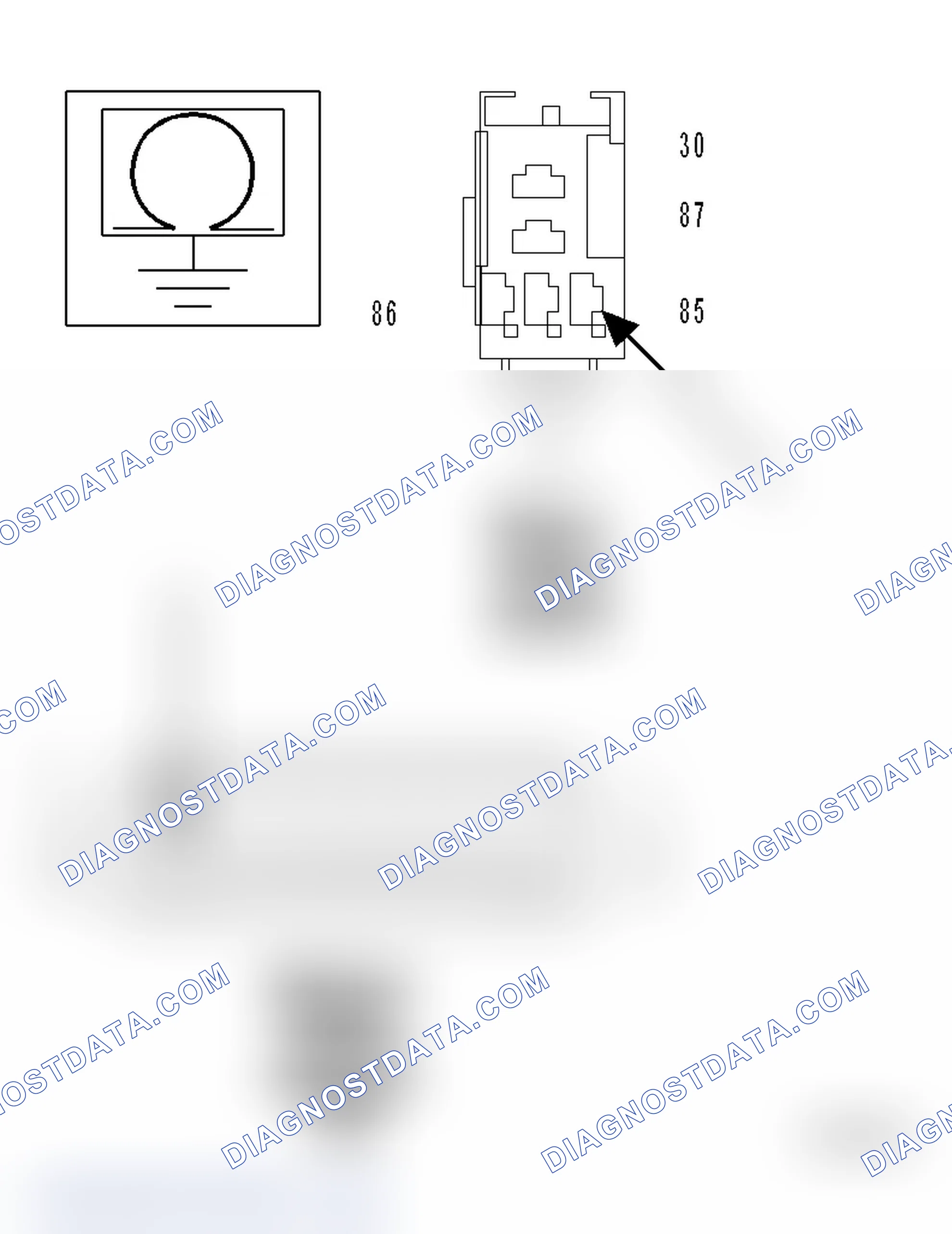 Scheme 43: Diagnostic Test