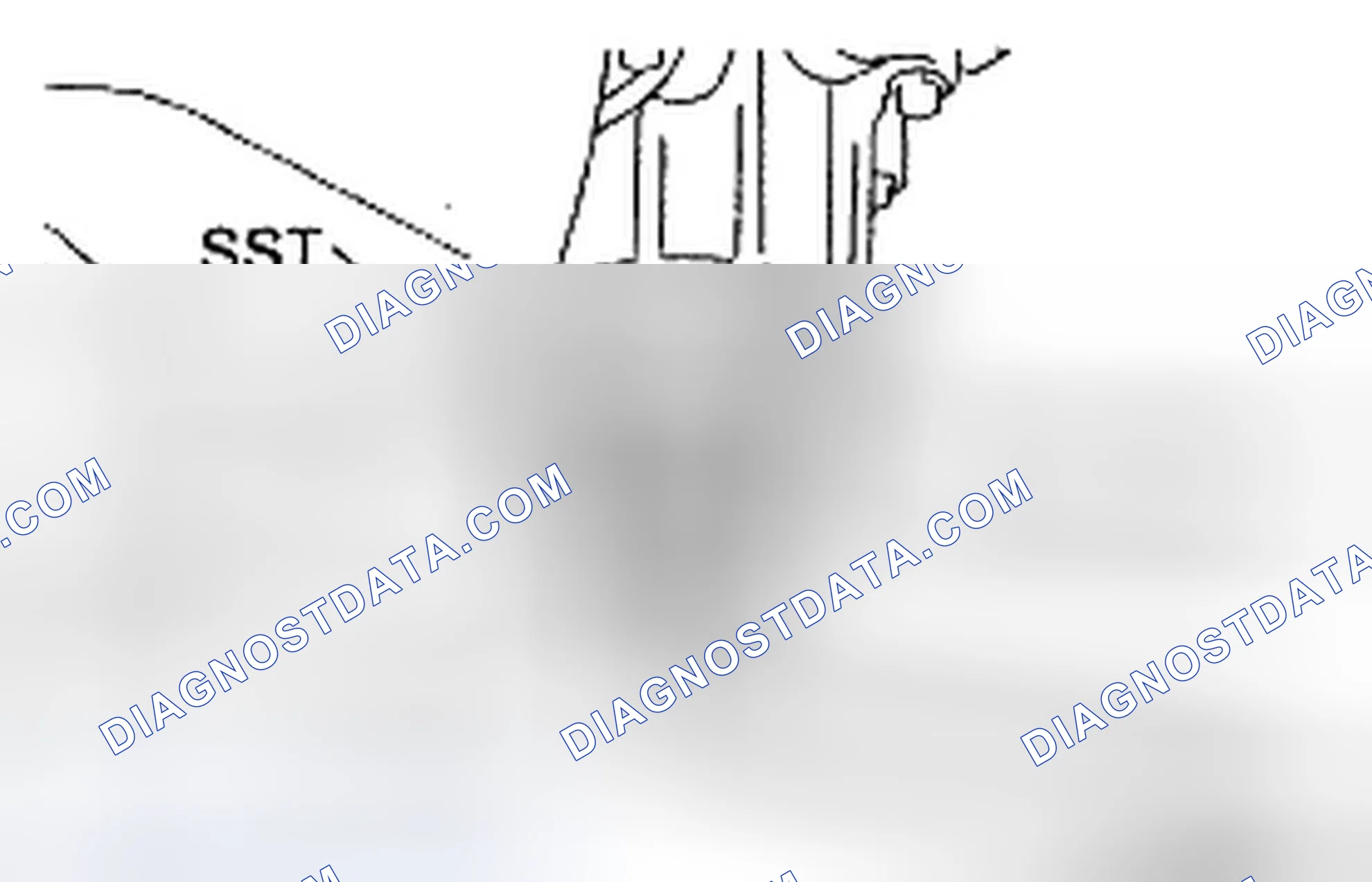 Scheme 377