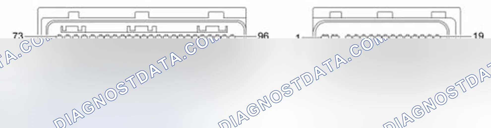 Scheme 113: 2.0L 4V Focus
