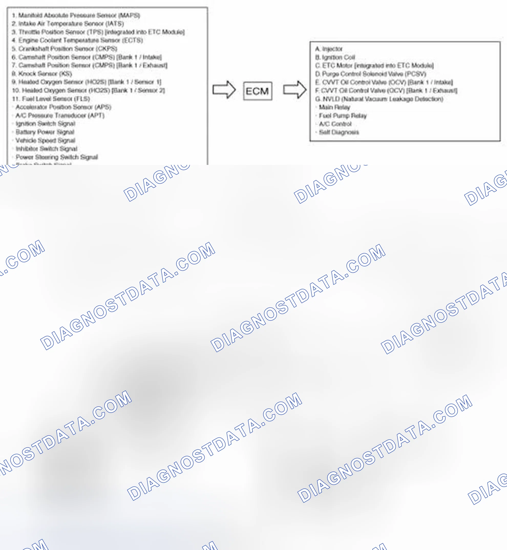 Scheme 417: Schematic Diagram