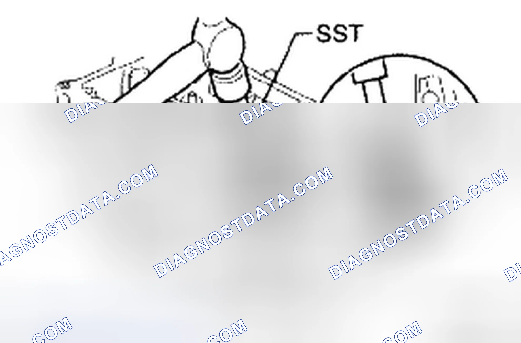 Scheme 185