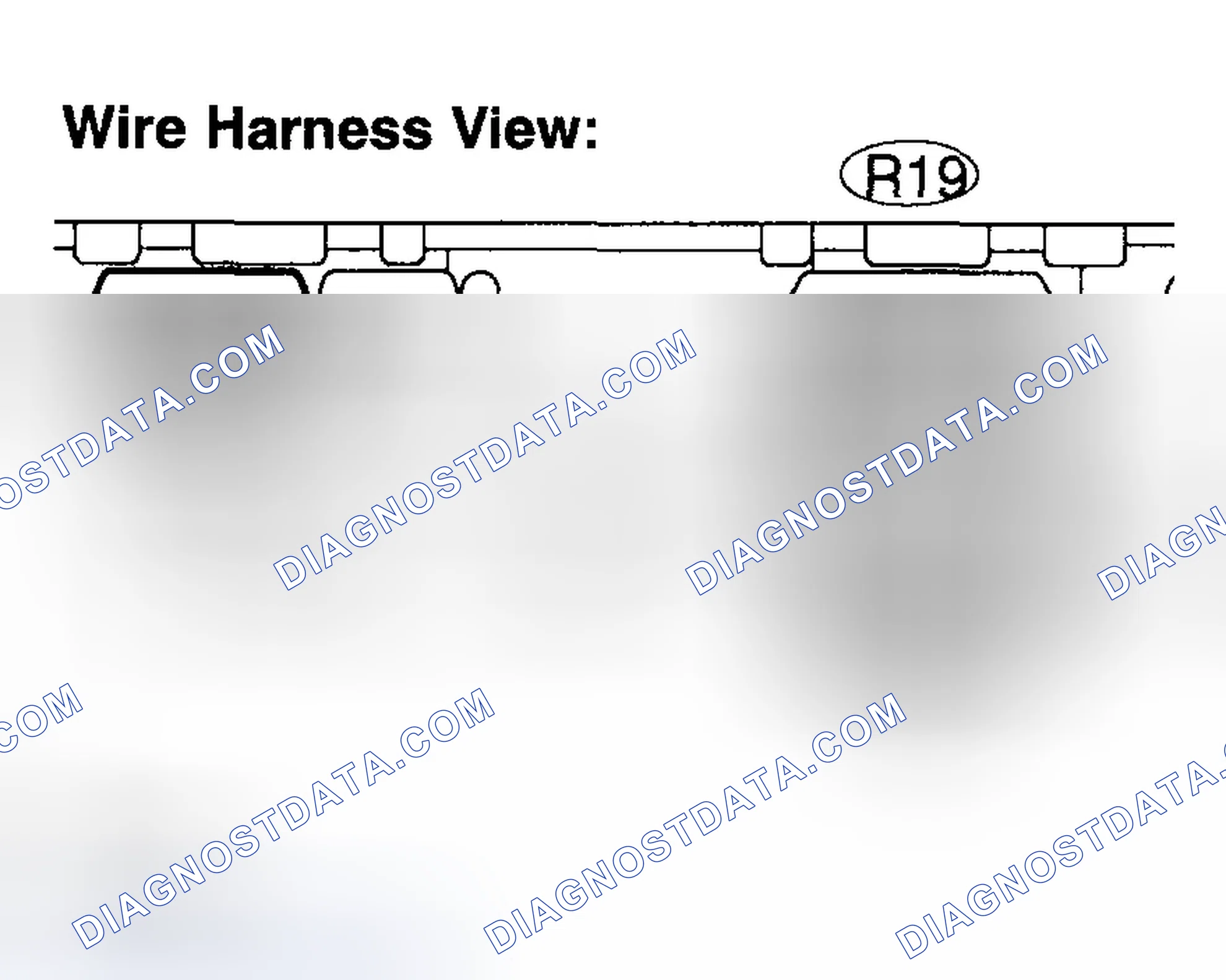 Scheme 39: INSPECTION PROCEDURE