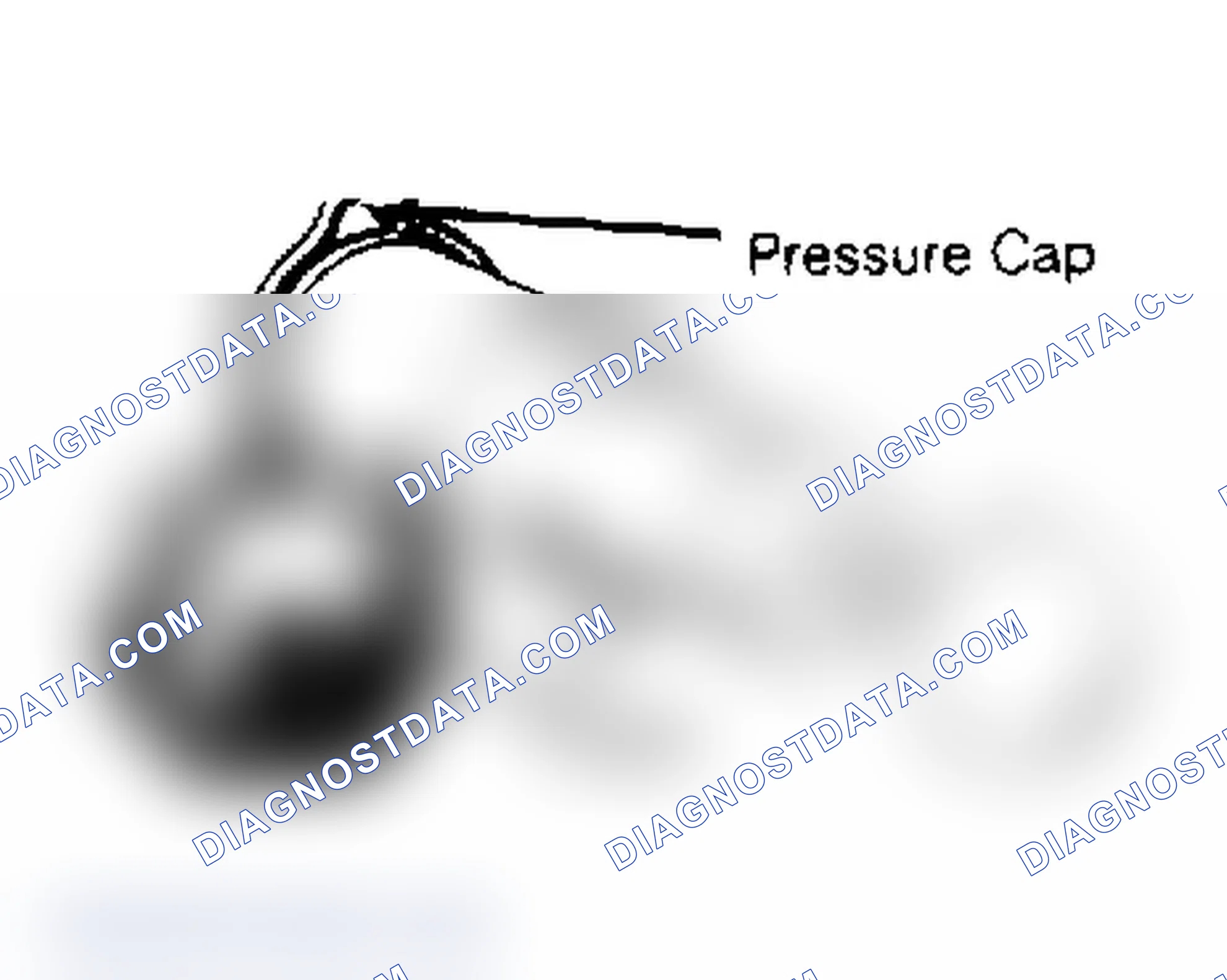 Scheme 14: RADIATOR CAP