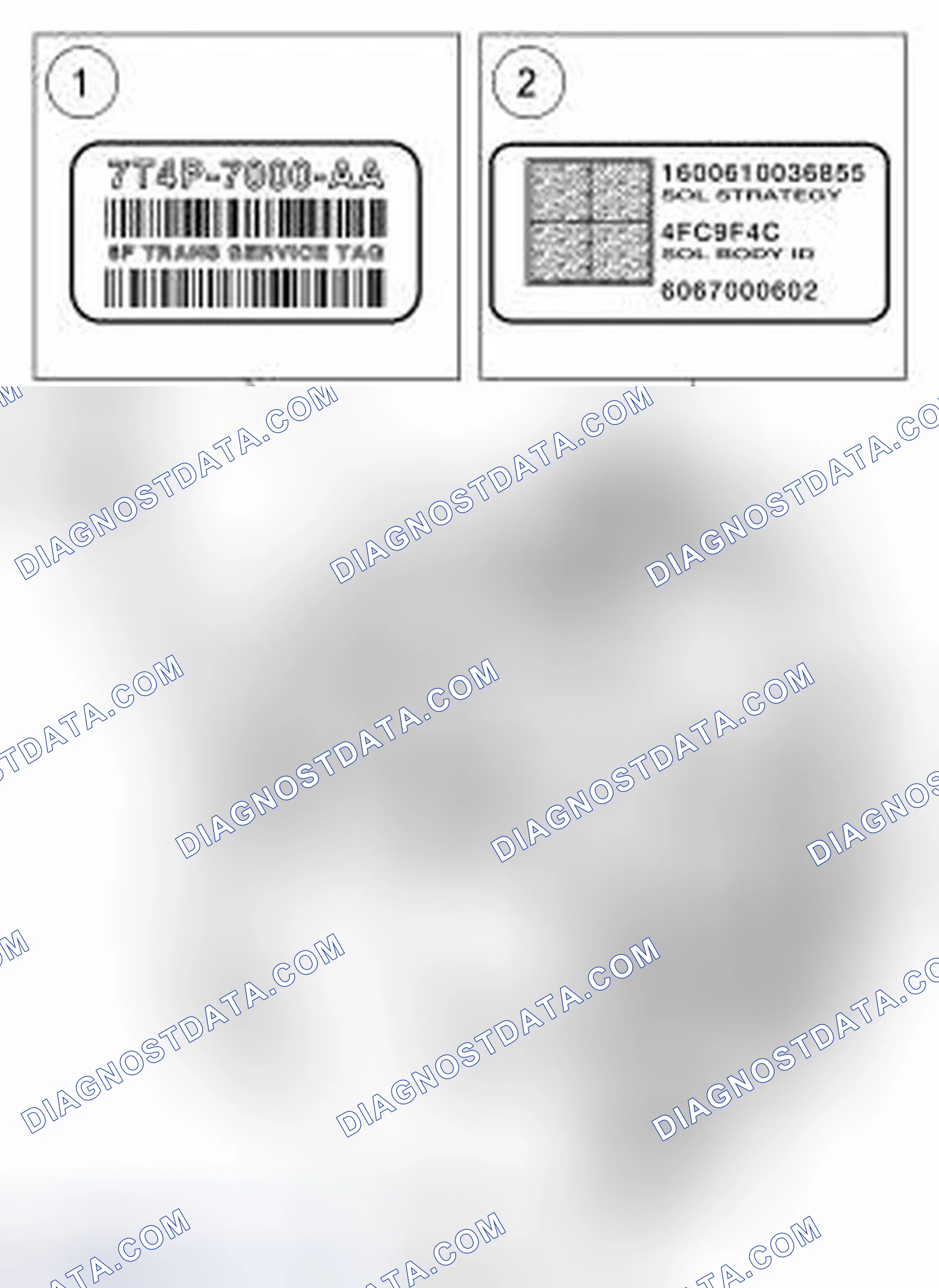 Scheme 26: Identification Tags