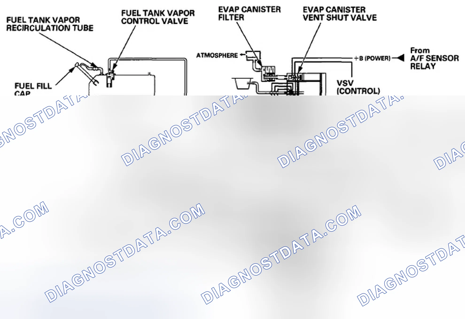 Scheme 669: Evaporative Emission (EVAP) Control Diagram