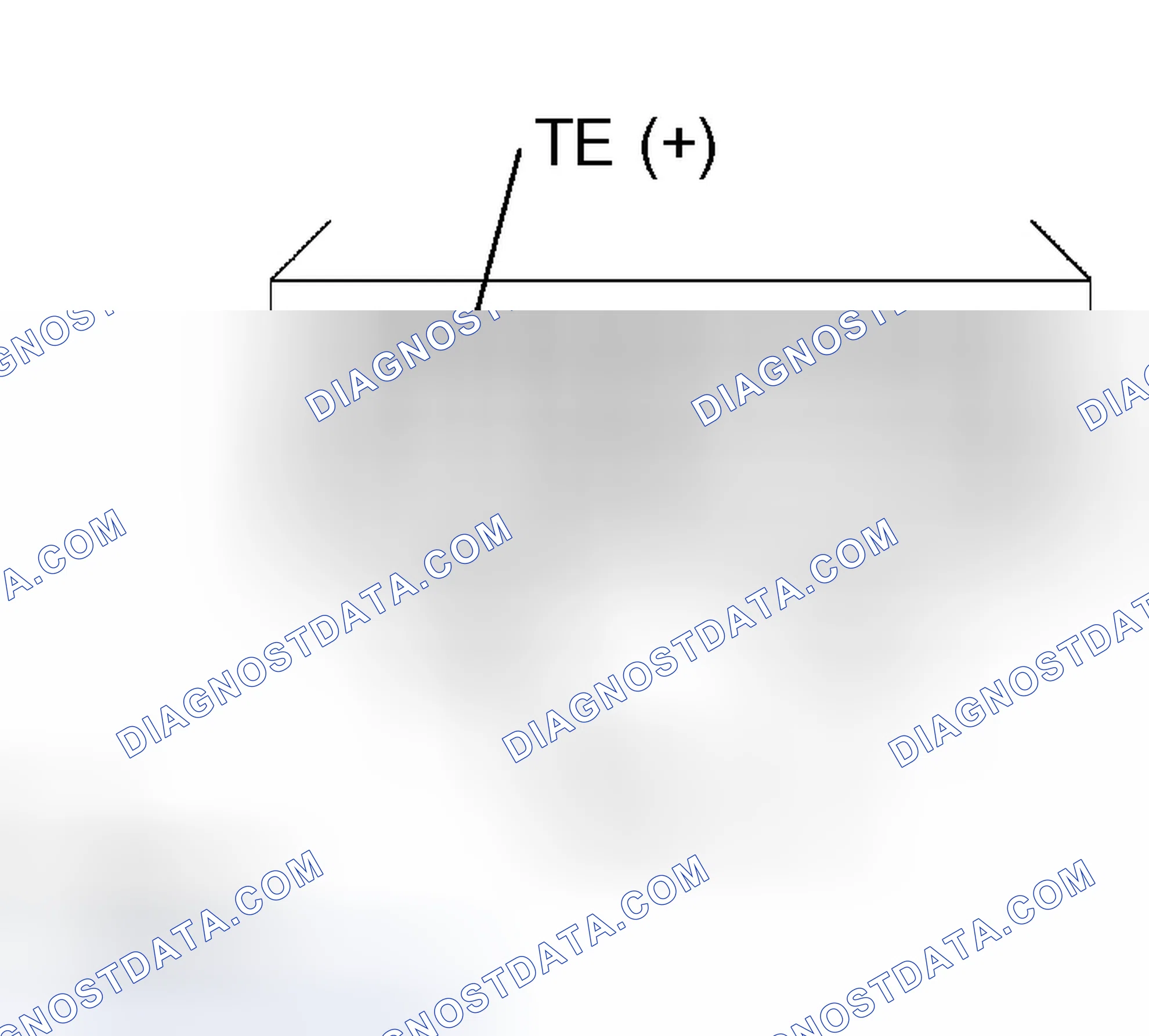 Scheme 24: Inspection Procedure