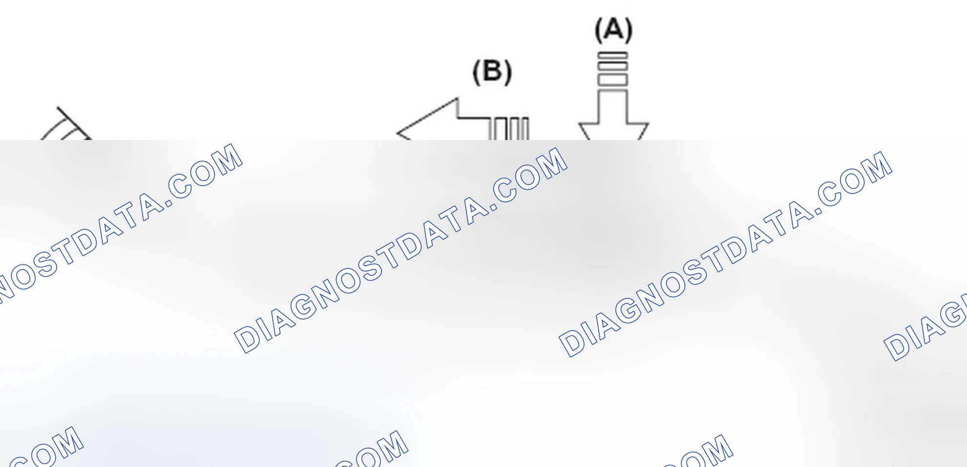 Scheme 217